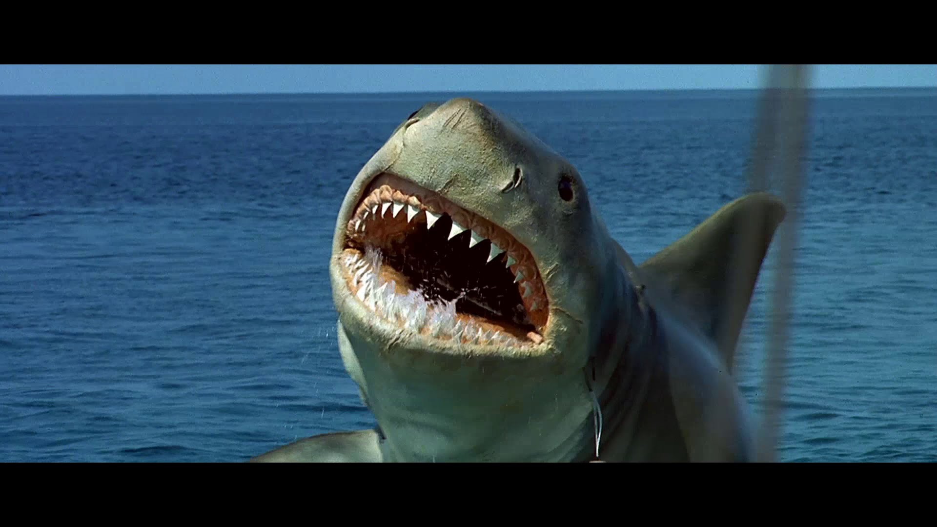 1920x1080 HD Quality Wallpaper | Collection: Movie,  Jaws: The Revenge