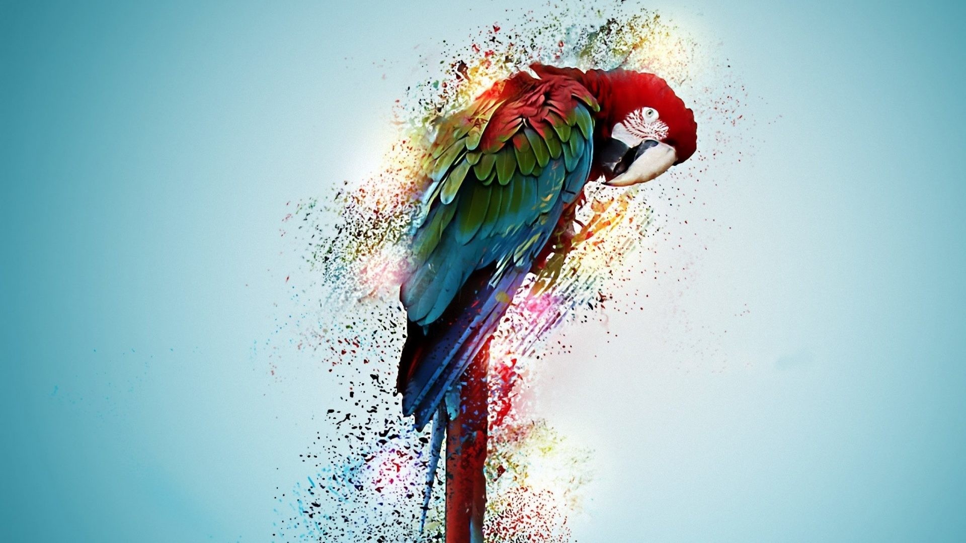 1920x1080 Birds - Parrot Artwork Psychedelic Tropical Art Bird Macaw Kiwi Background  for HD 16:9