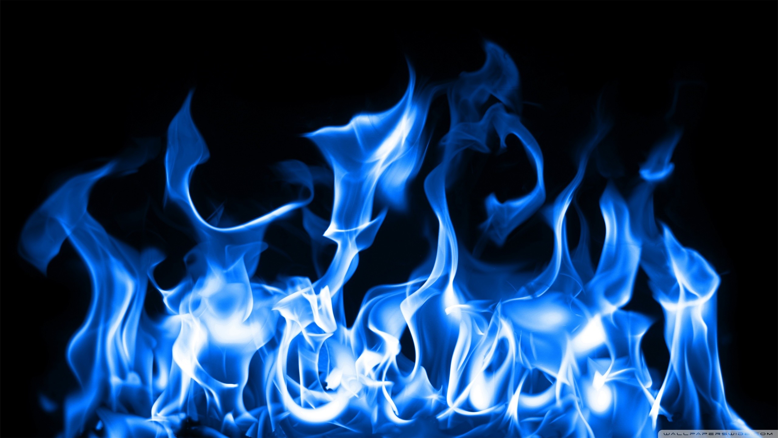 2560x1440 1920x1200 Most Downloaded Blue Fire Wallpapers - Full HD wallpaper search