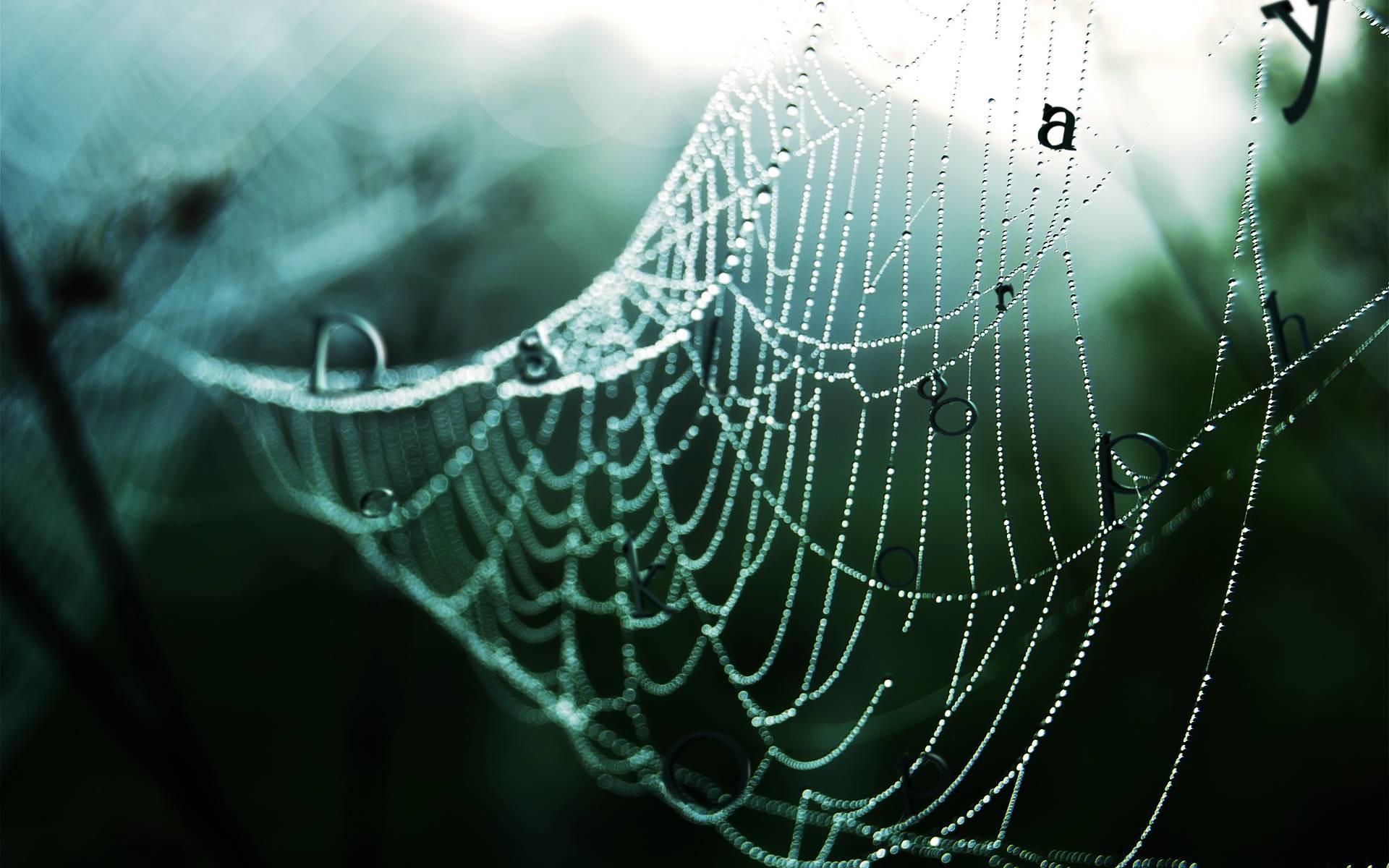 1920x1200 Wallpapers For > Spider Web Wallpaper 3d