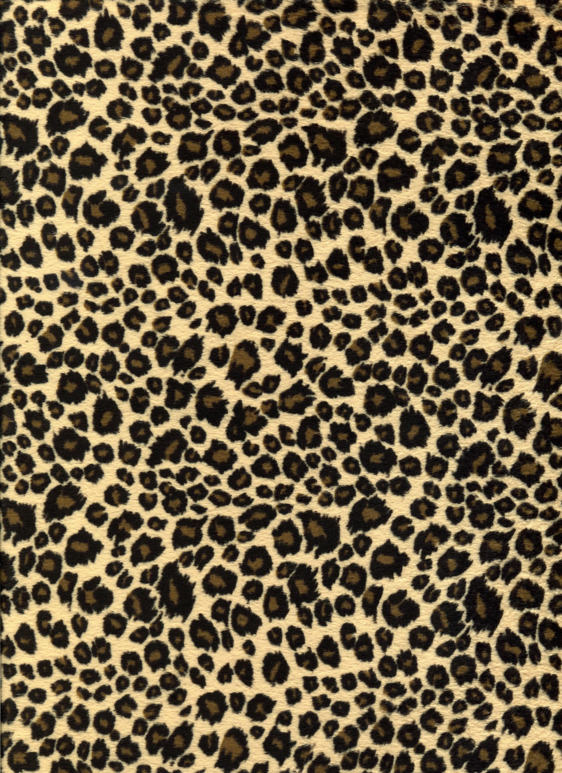 1887x2597 loving the leopard print patterns!