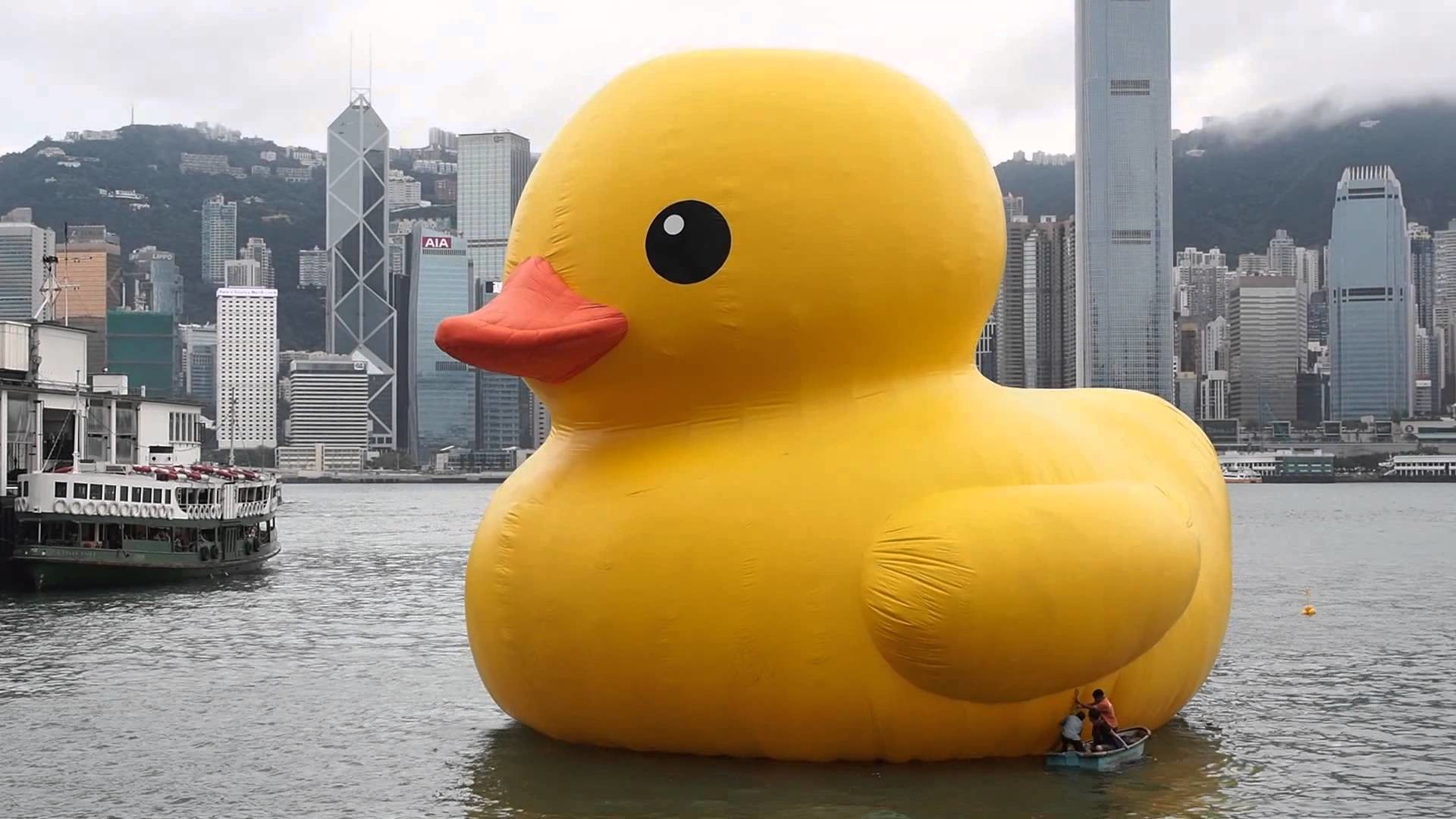 1920x1080 What can be found inside the rubber duck?