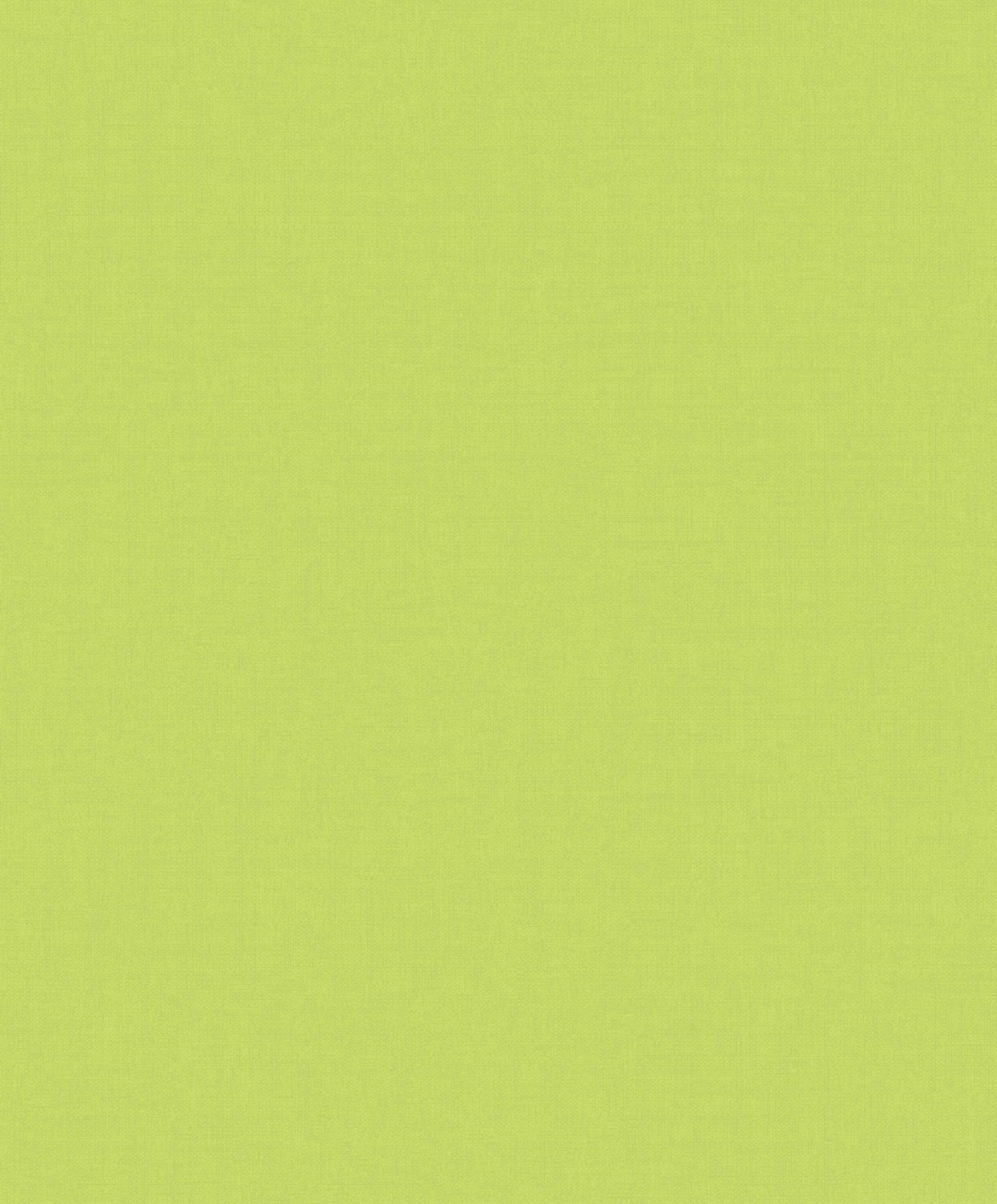 1920x2319 2880x1800 solid green background aÃÂ·a' download free awesome hd wallpapers  for