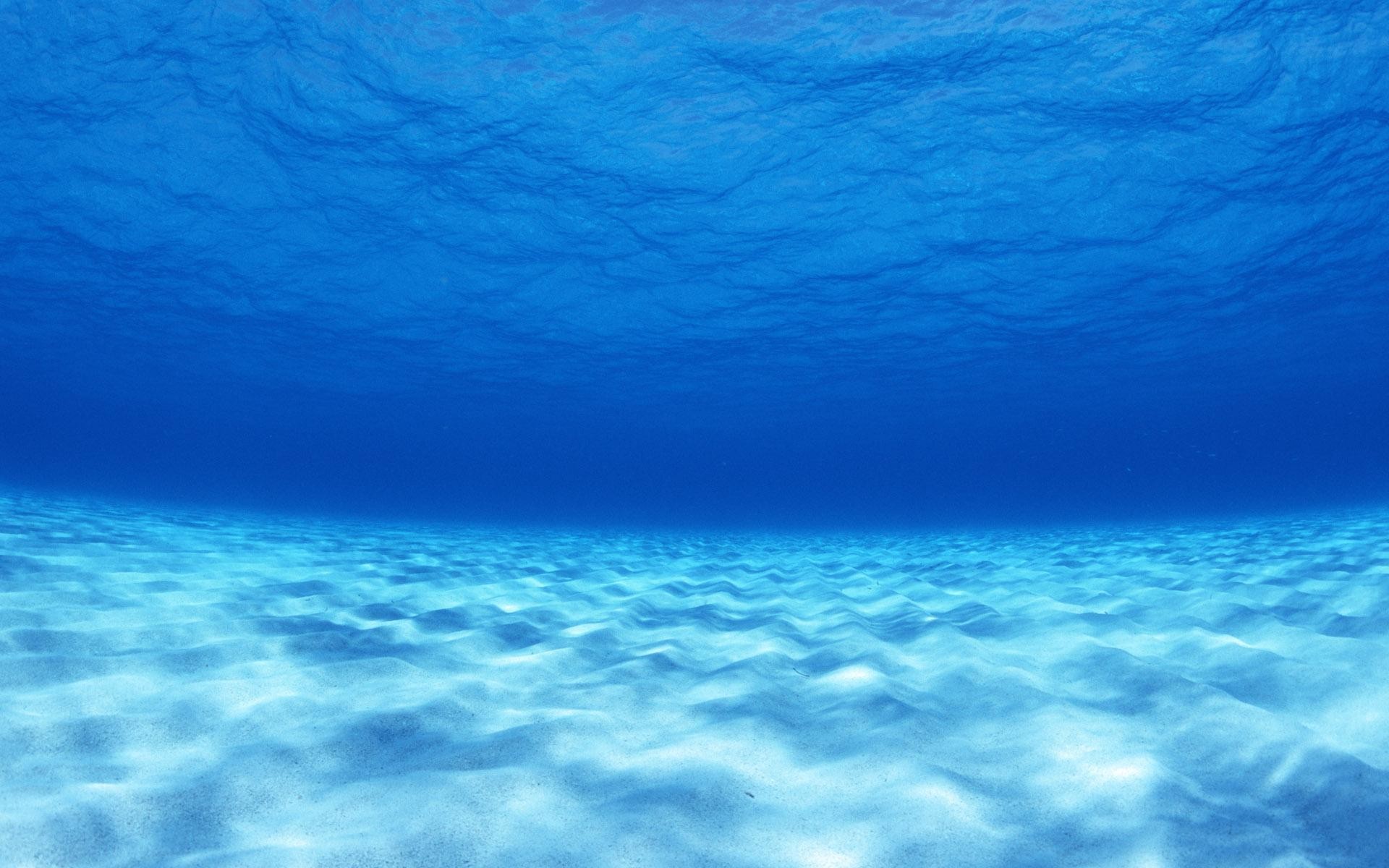 1920x1200 Underwater Ocean Sea Bed Wallpaper