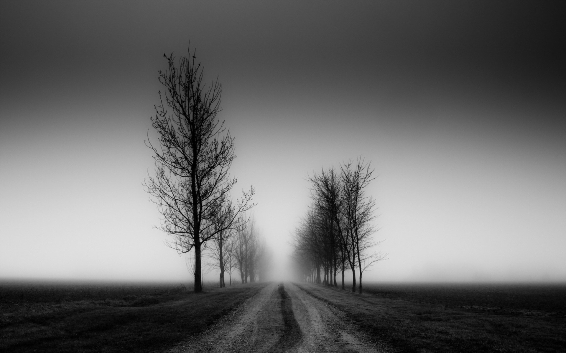 Black And White Desktop Backgrounds 80 Images Black And White Desktop Backgrounds 80 Images