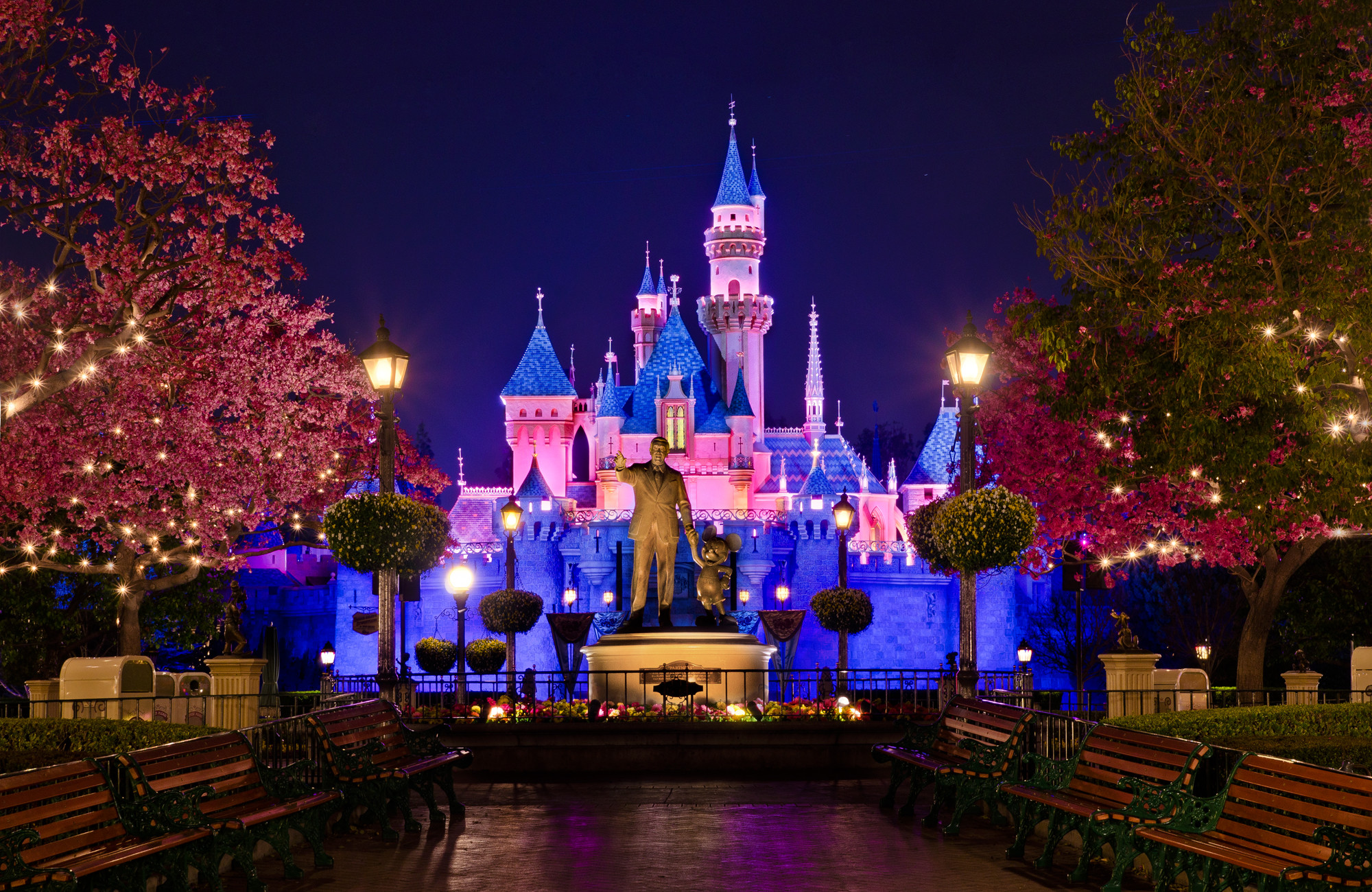 2000x1300 Tags:  Cinderella Castle Disney