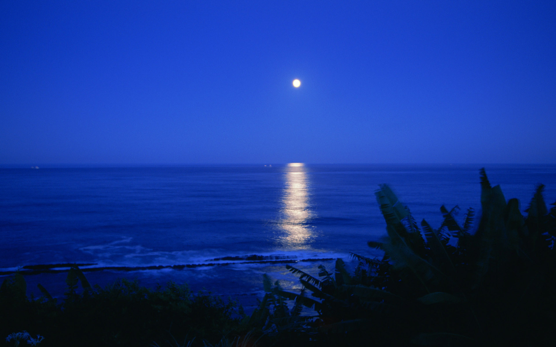 1920x1200 Night sea moon ocean reflection wallpaper |  | 135940 .