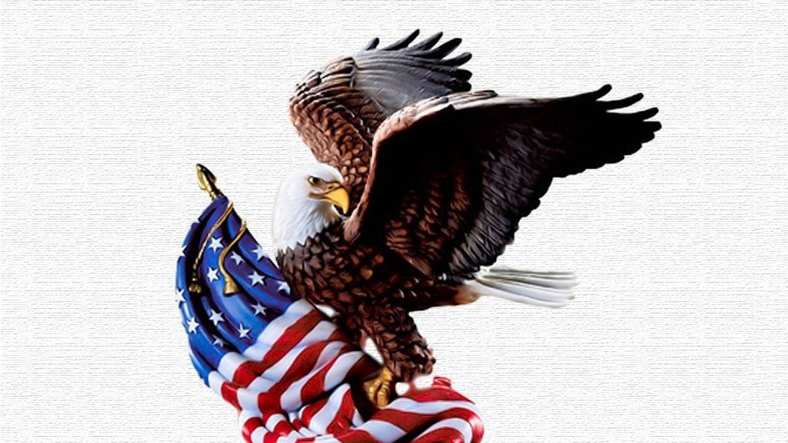 2560x1440 American Flag Pictures, Eagle Pictures, Happy Fourth Of July, July 4th, High