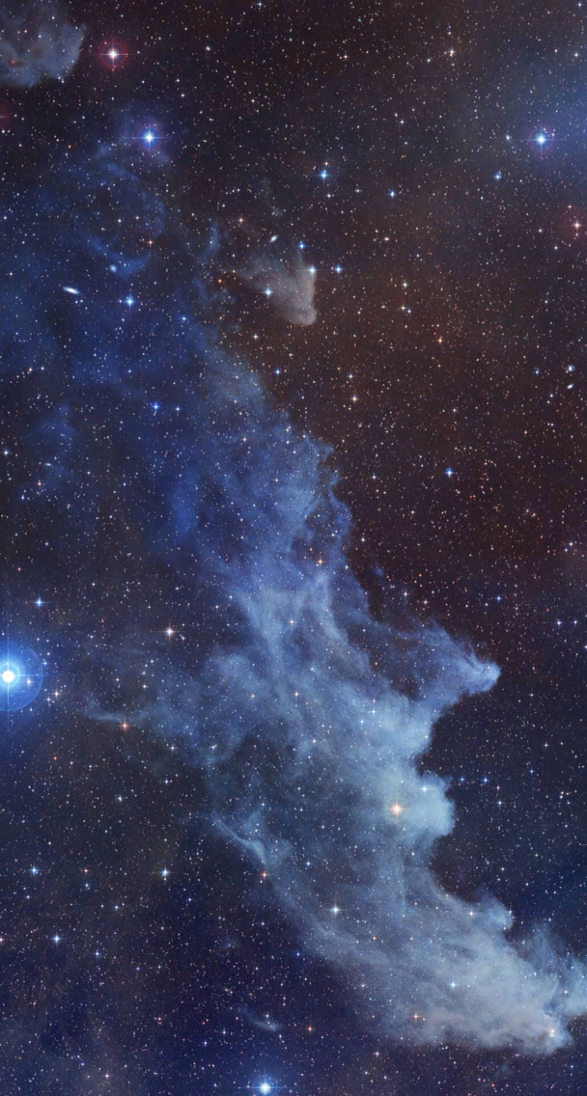 1200x2242 Witch's Cackle Credit: NASA/STScI Digitized Sky Survey/Noel CarboniThe  Witch Head Nebula in the constellation Orion.