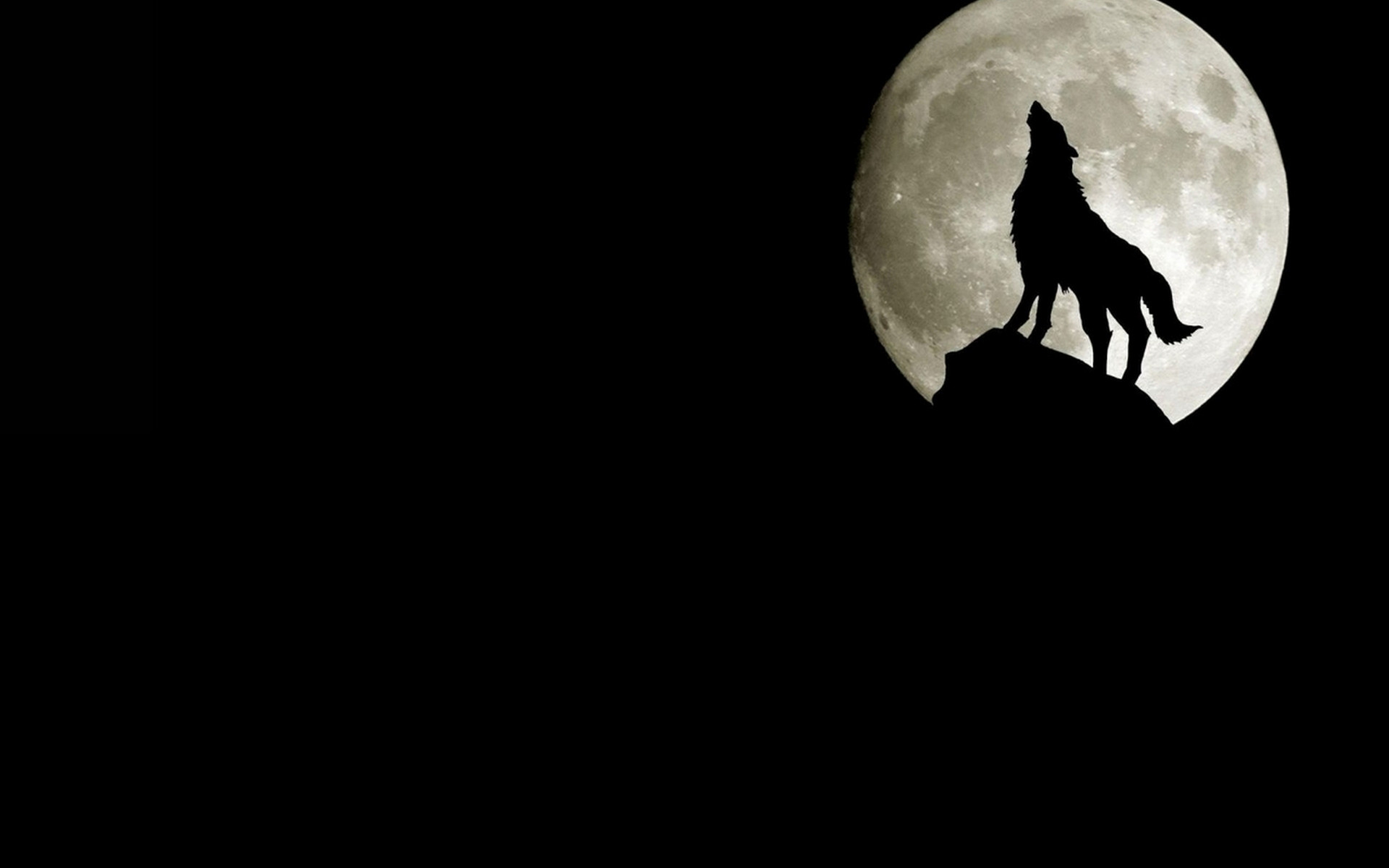 1920x1200 More Animals desktop wallpapers Â· Wolf Howling At Full Moon Desktop  Wallpaper
