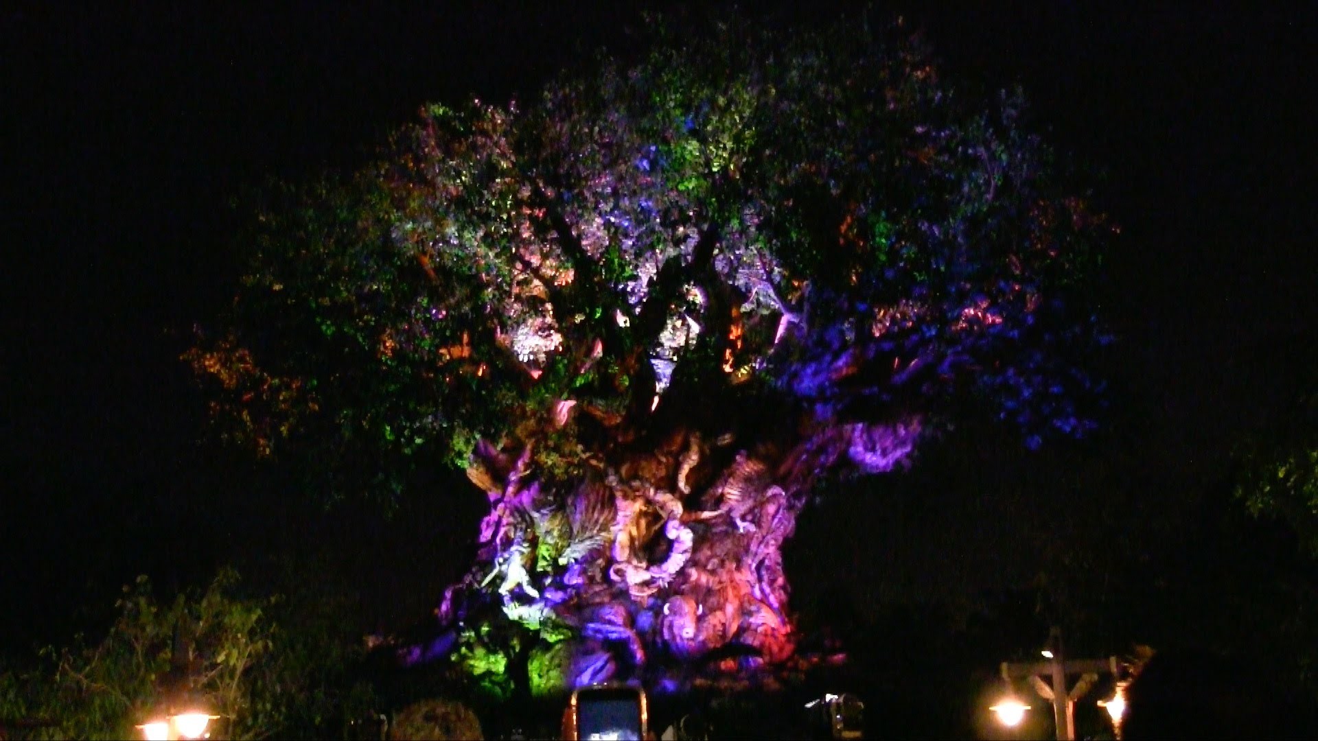 1920x1080 Tree of Life Awakenings - Projections at Disney's Animal Kingdom