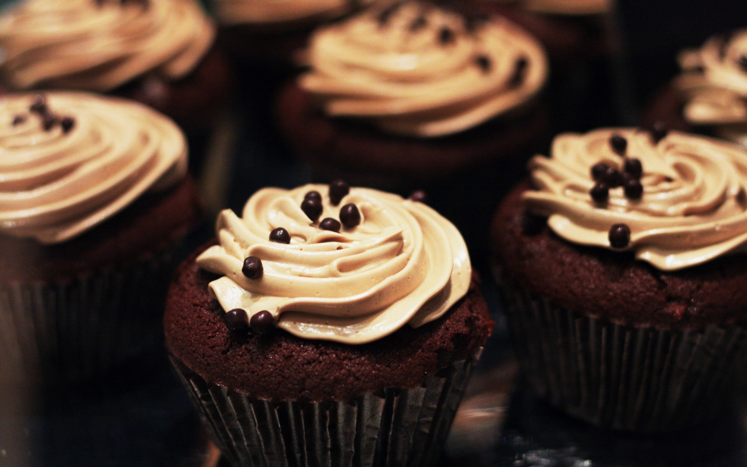 2560x1600 Chocolate Cupcakes