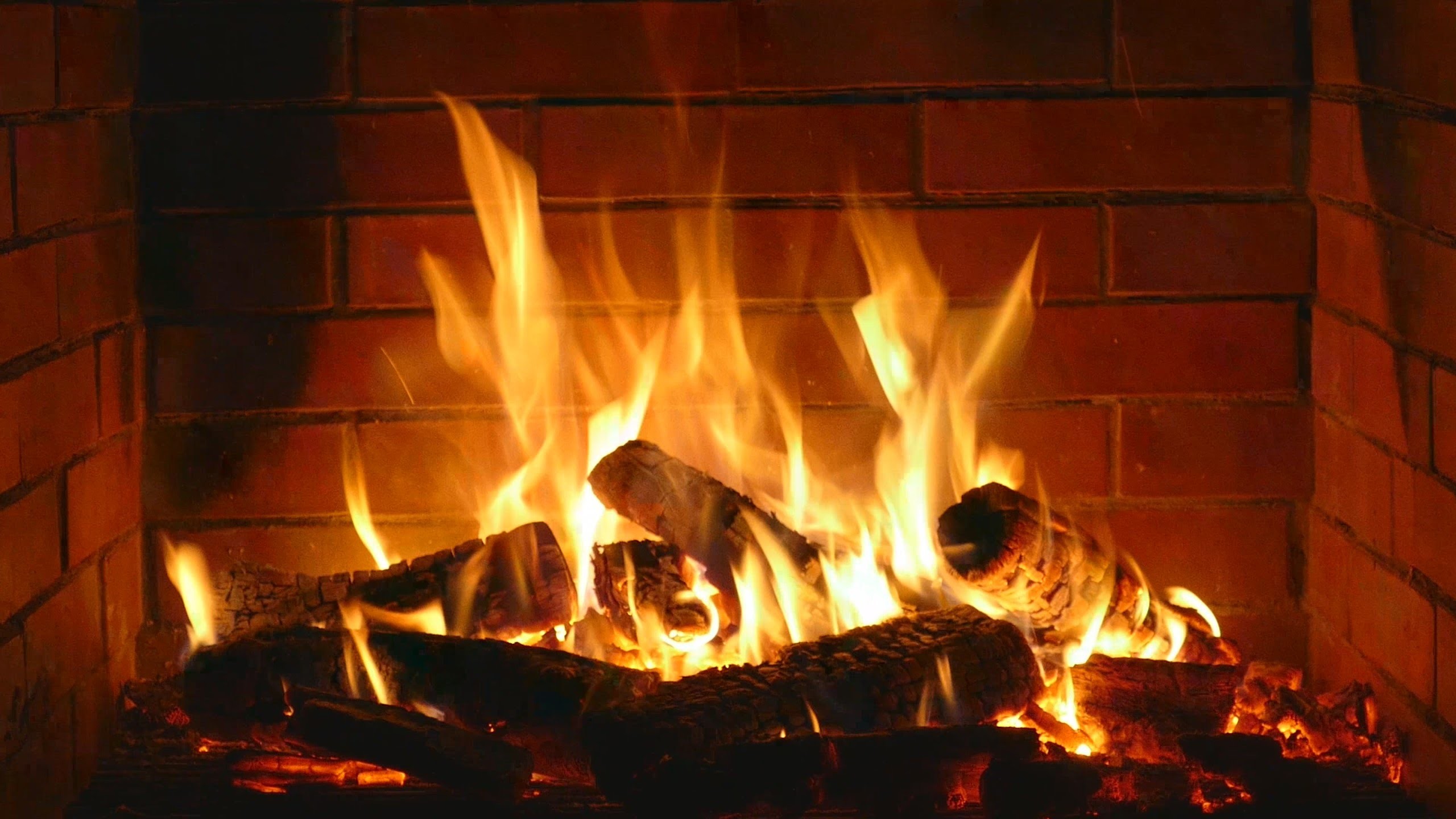 2560x1440 Fireplace - romantic - Full HD and 4K - 2 hours crackling logs Valentine's  Day - Love - YouTube