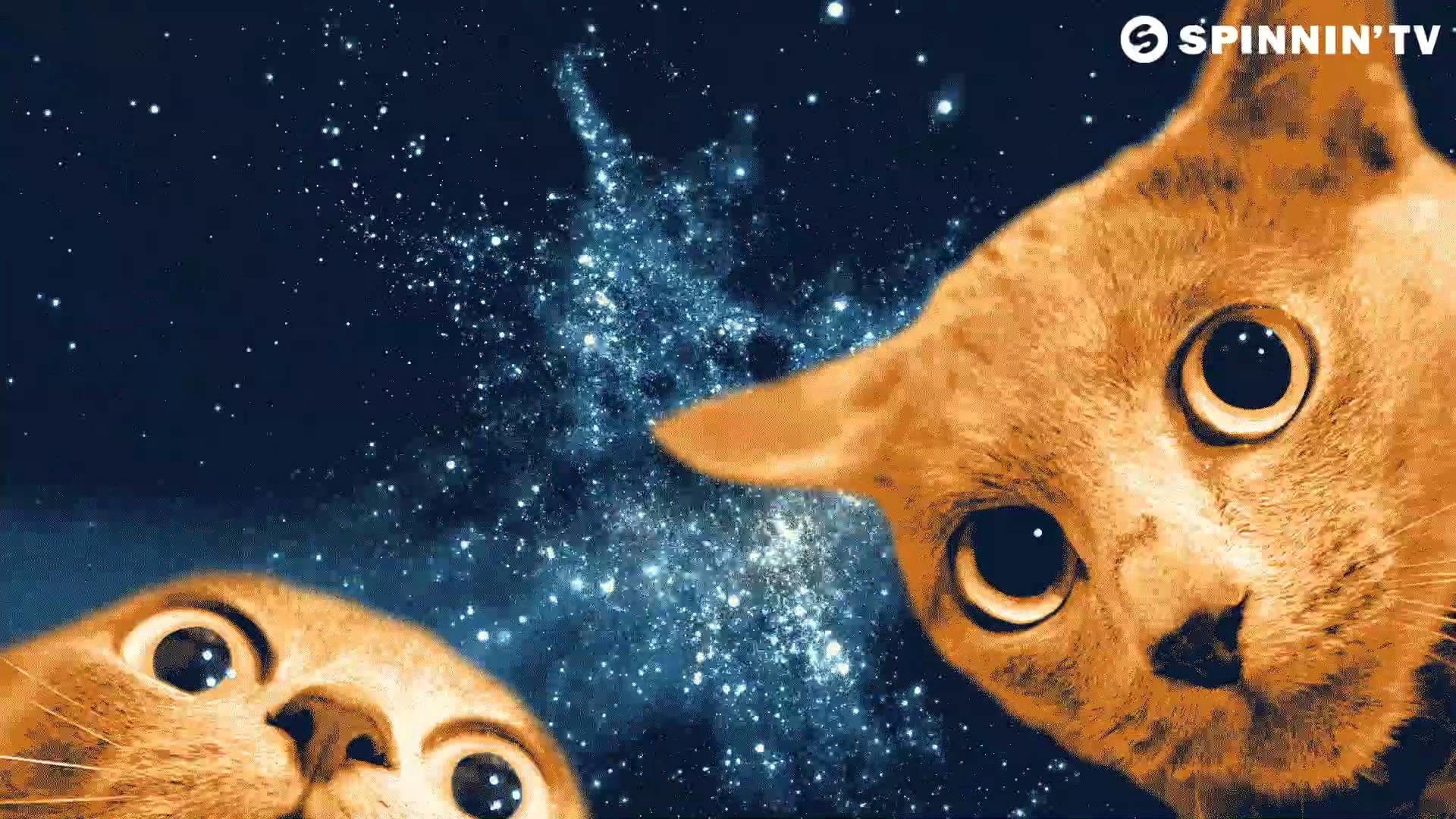 1920x1080 Humor Earth <b>Cats</b> Cosmonauts <b>Space<