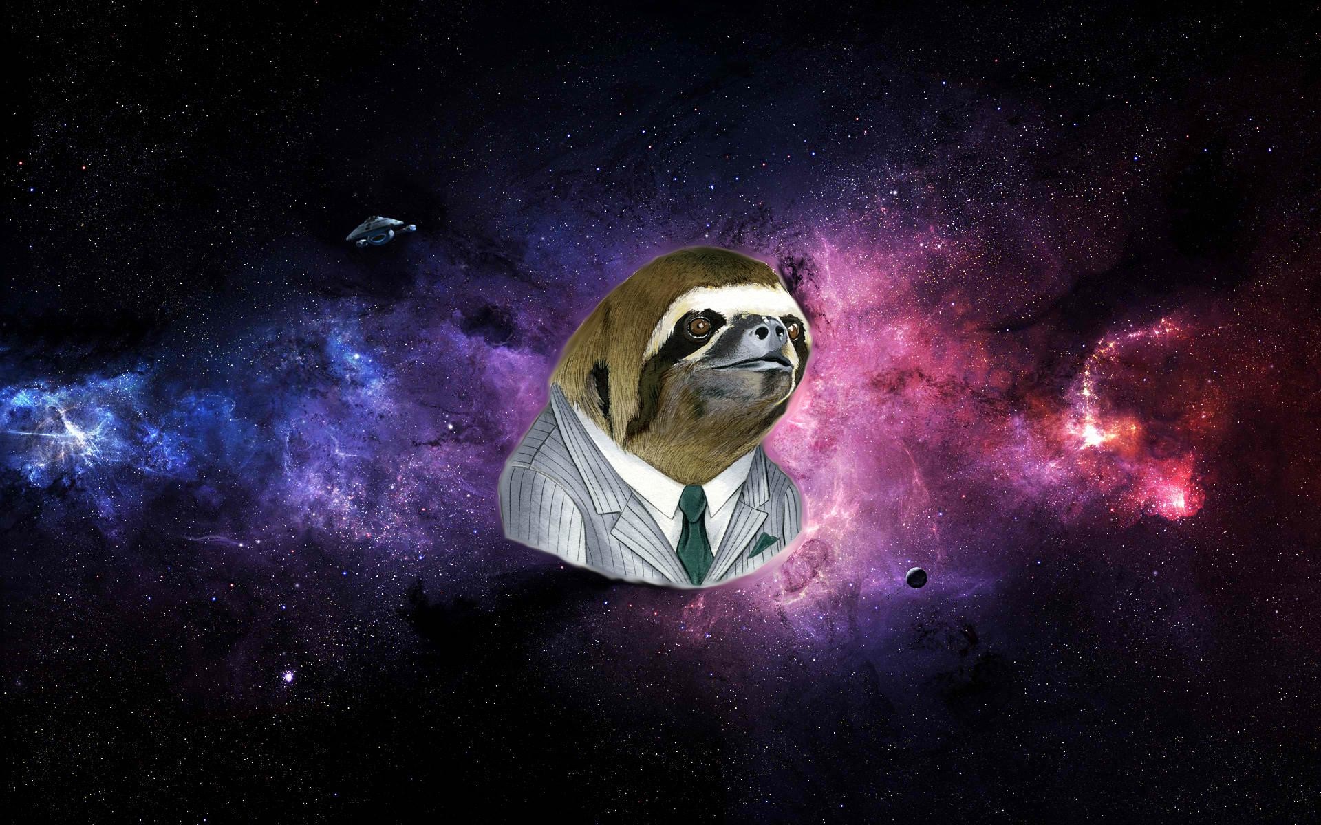1920x1200 Sloths in Space: Wallpaper Edition