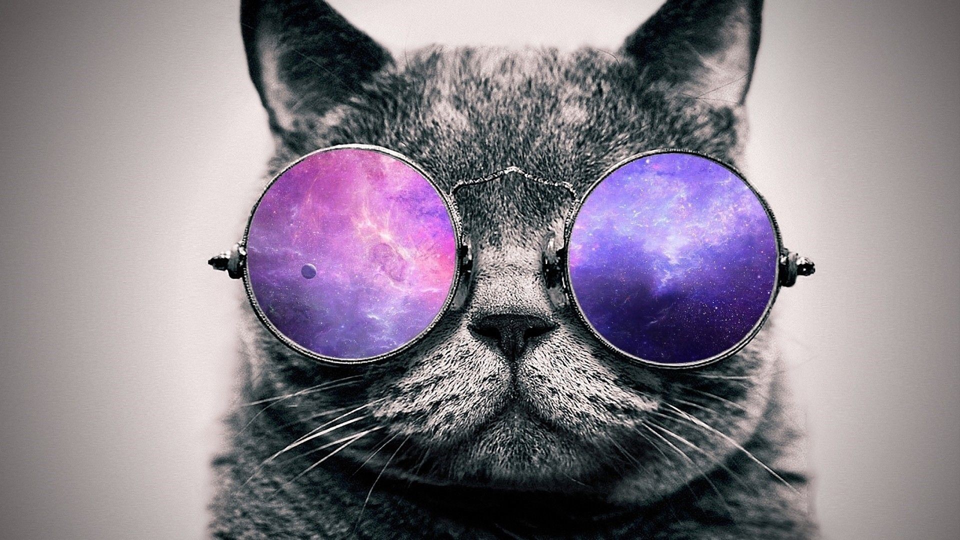 1920x1080 Fantastic wallpaper cool cat for your desktop laptop android desktop iphone  and tablet jpg  Iphone