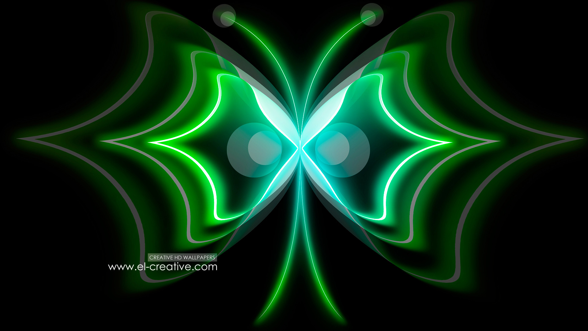 1920x1080 HD Abstract Neon Wallpapers | Abstract-Butterfly-Green-Neon-2013-HD