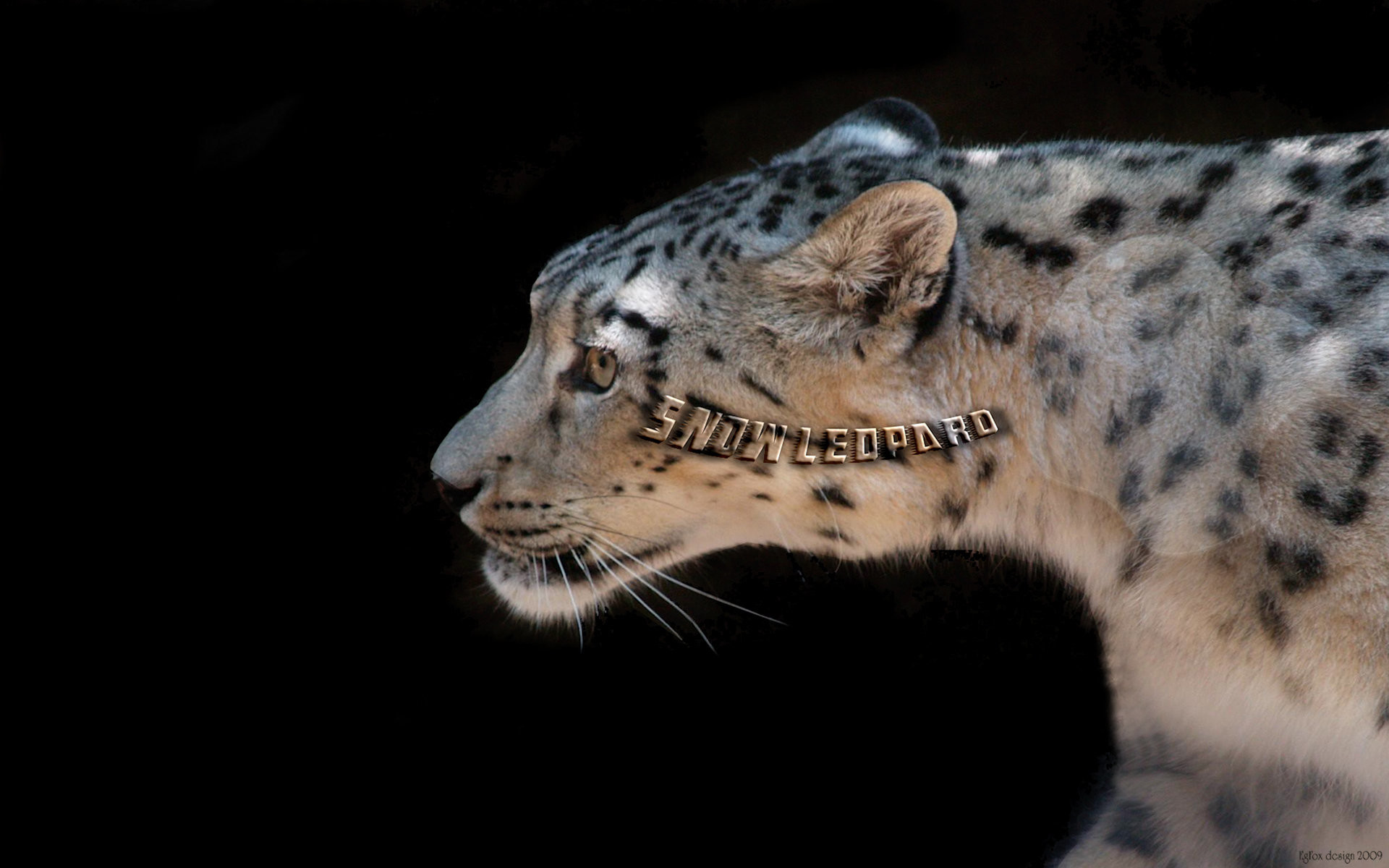 1920x1200 EgFox Snow Leopard HD by Eg-Art ...