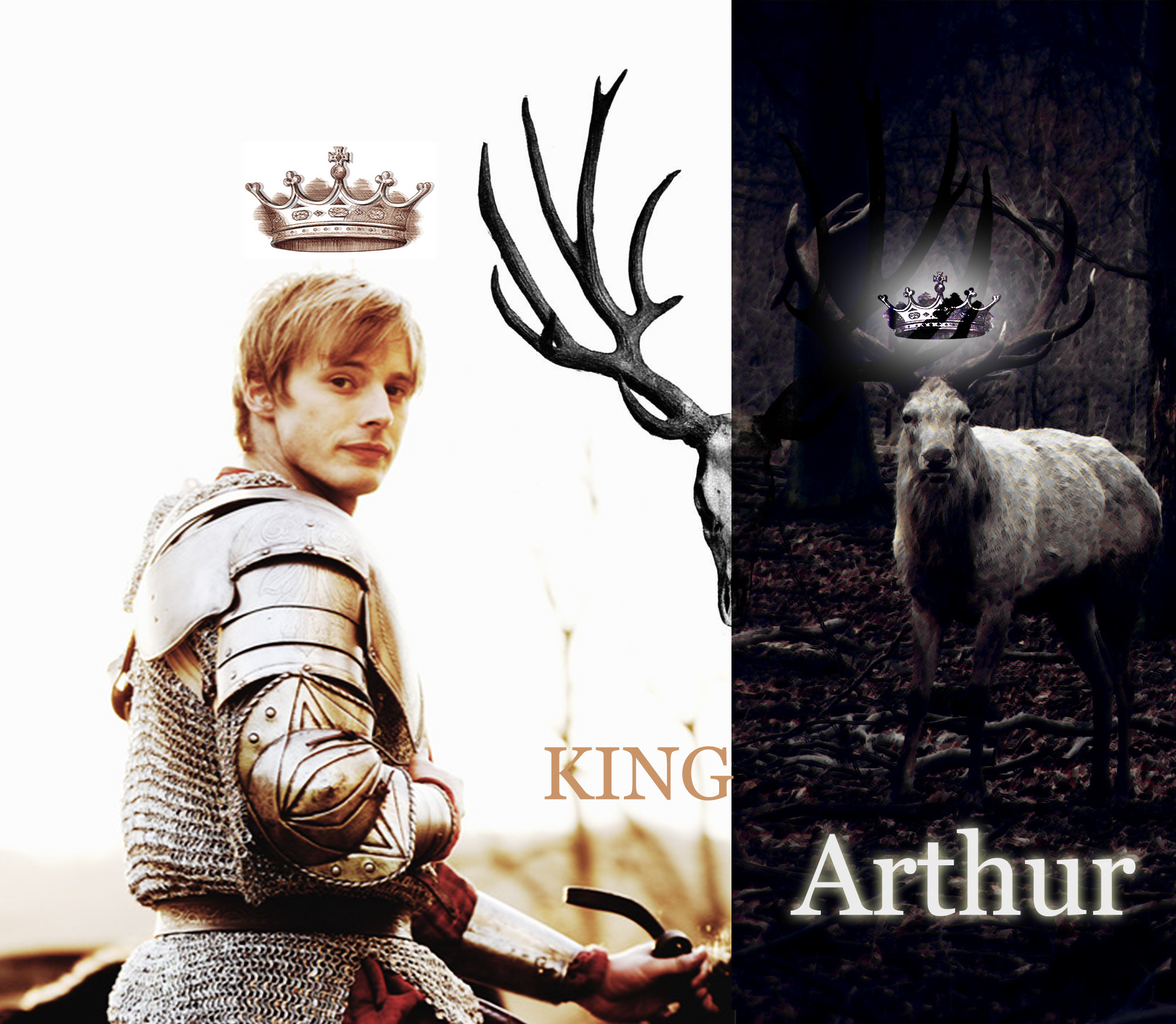 2000x1742 ... King Arthur the White Stag by K9Darkice