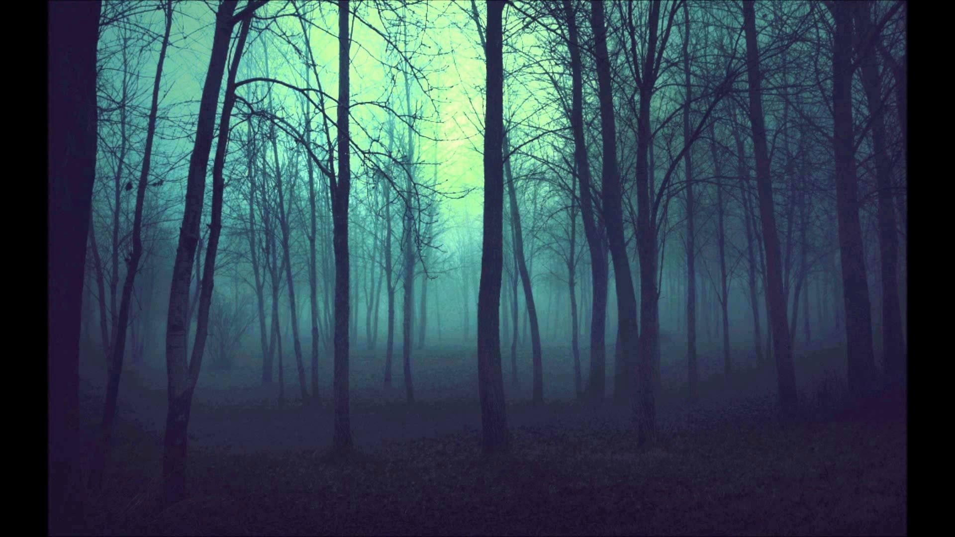 1920x1080 Dark-Woods-Background-Download-Free