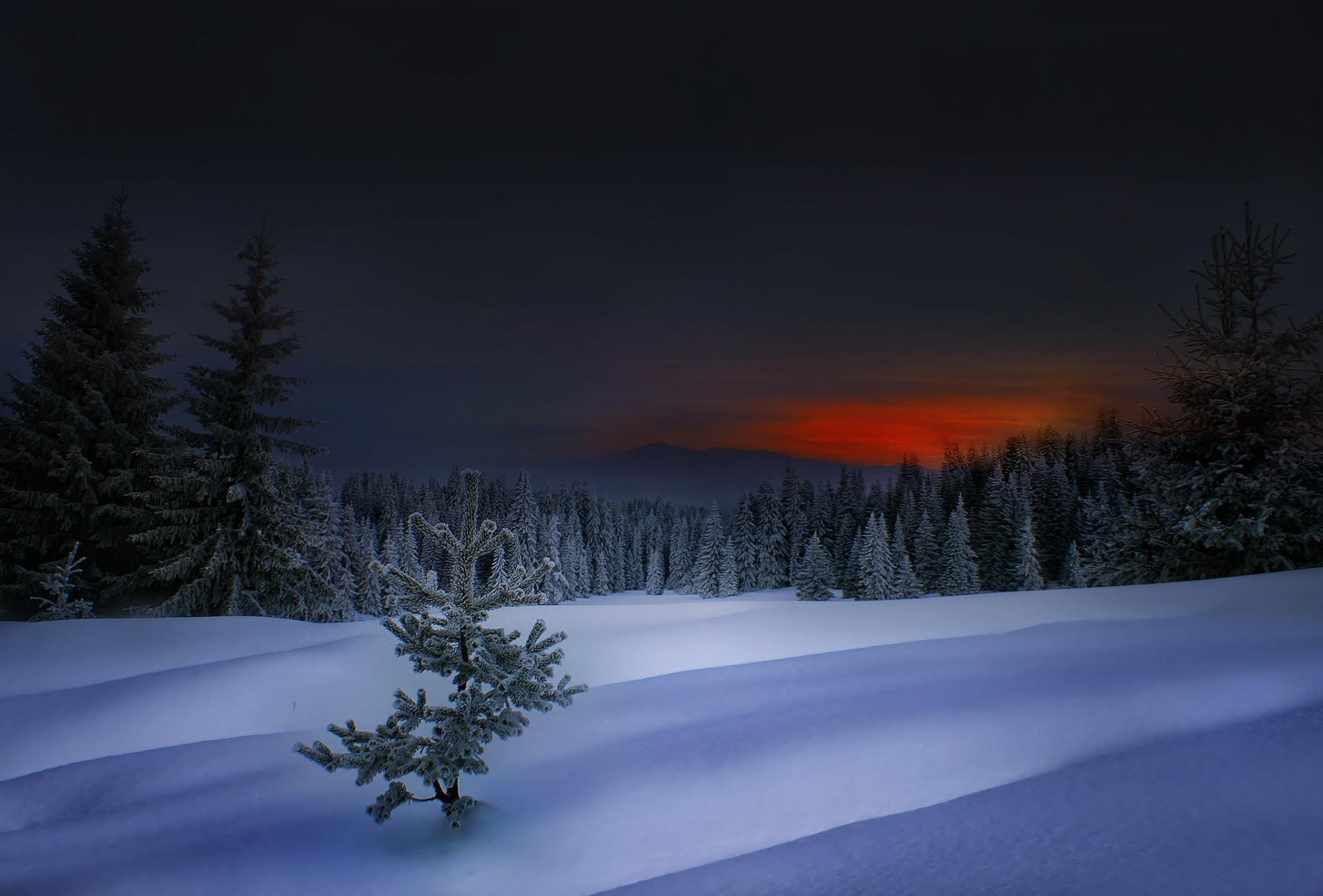 1920x1301 winter in rhodope winter sunset bulgaria rhodopes