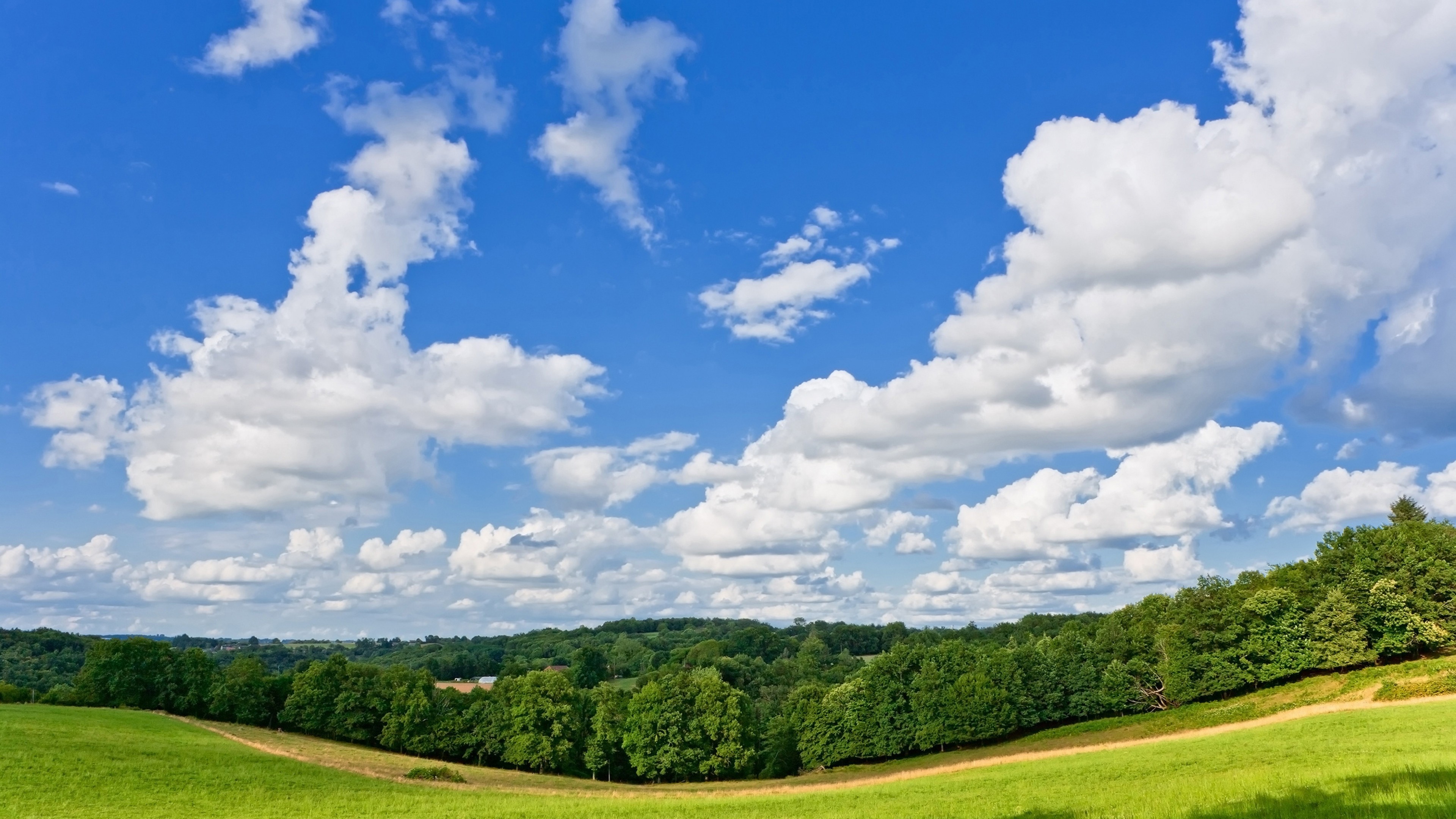 3840x2160 Preview wallpaper panorama, meadow, trees, road, summer 