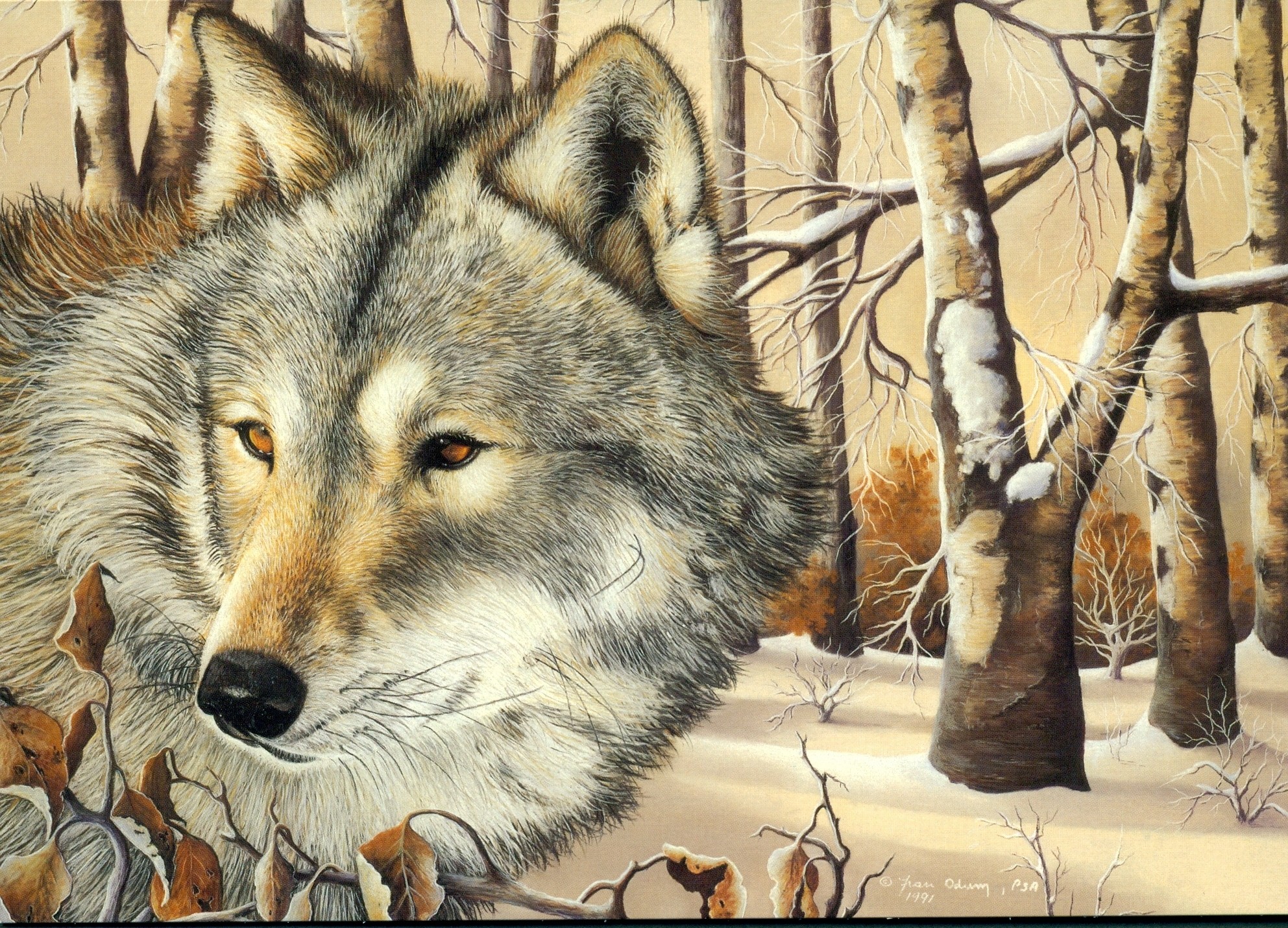 1985x1431 ... Wolves Wolf 10 ...