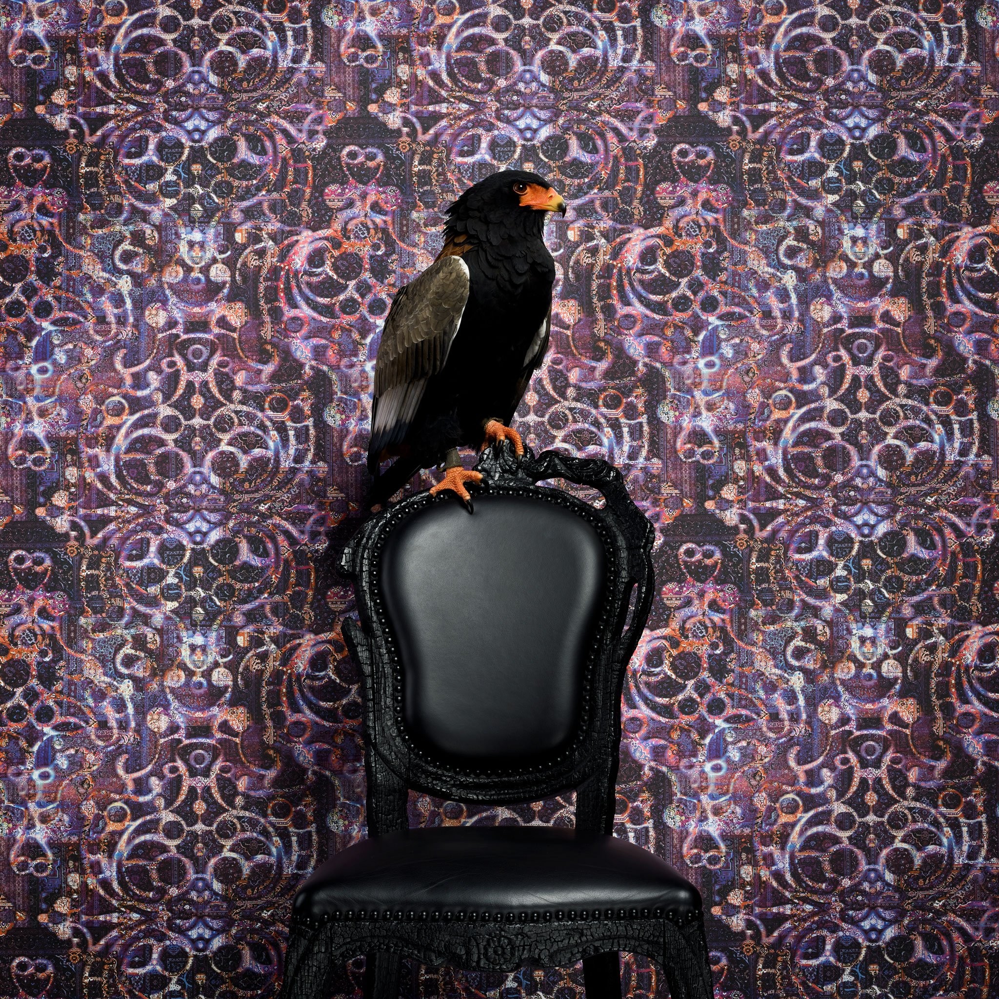 2048x2048 Consisting of 14 wall coverings in more than 62 colourways, 'Neo Royal'  features an eclectic mix of masculine and feminine designs.