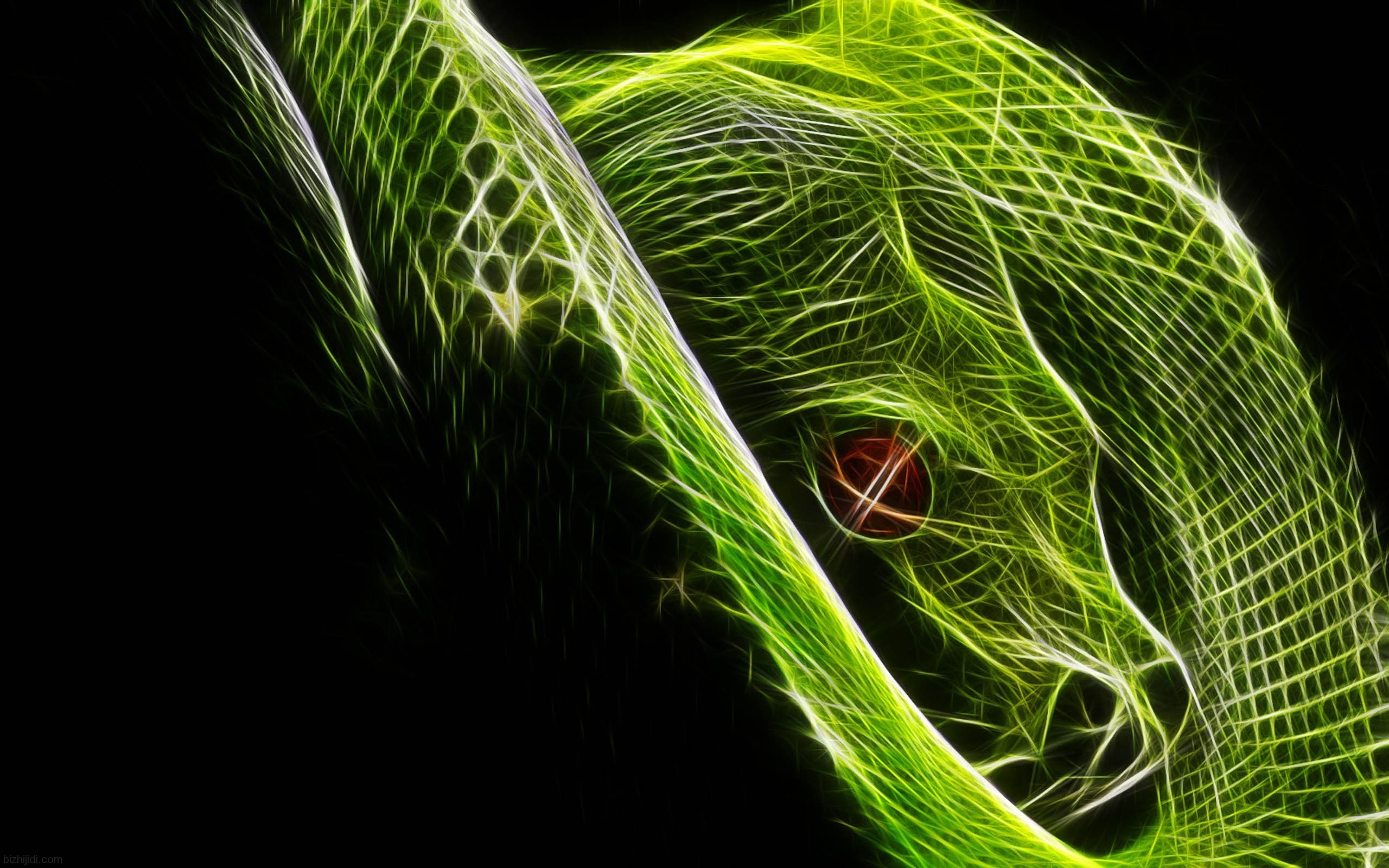 2560x1600 Snake Wallpapers Best Wallpapers