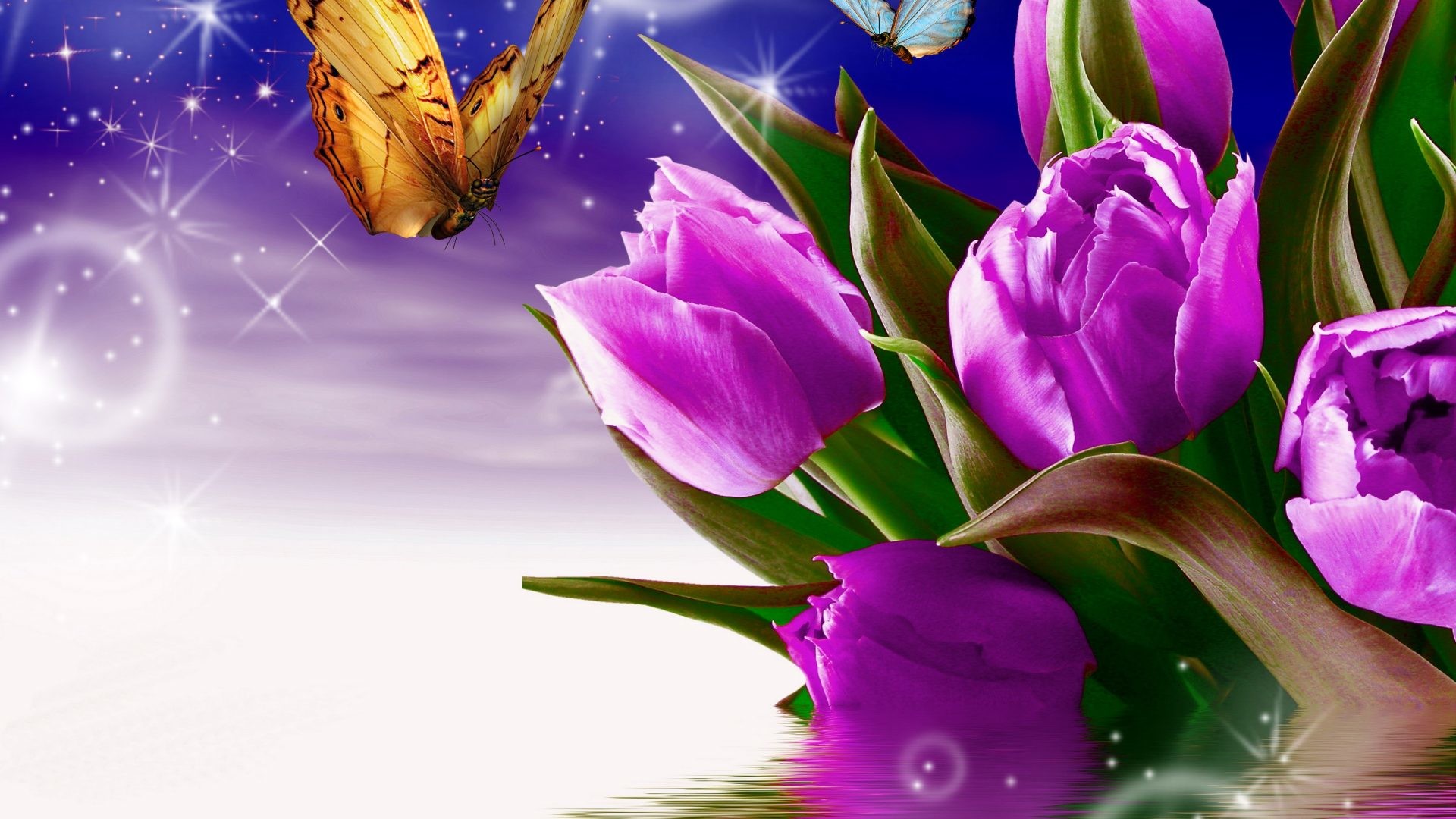 1920x1080 #9955AA Color - Purple Butterfly Drop World Love Tulips Fly Rose Flower Hd  Images Free