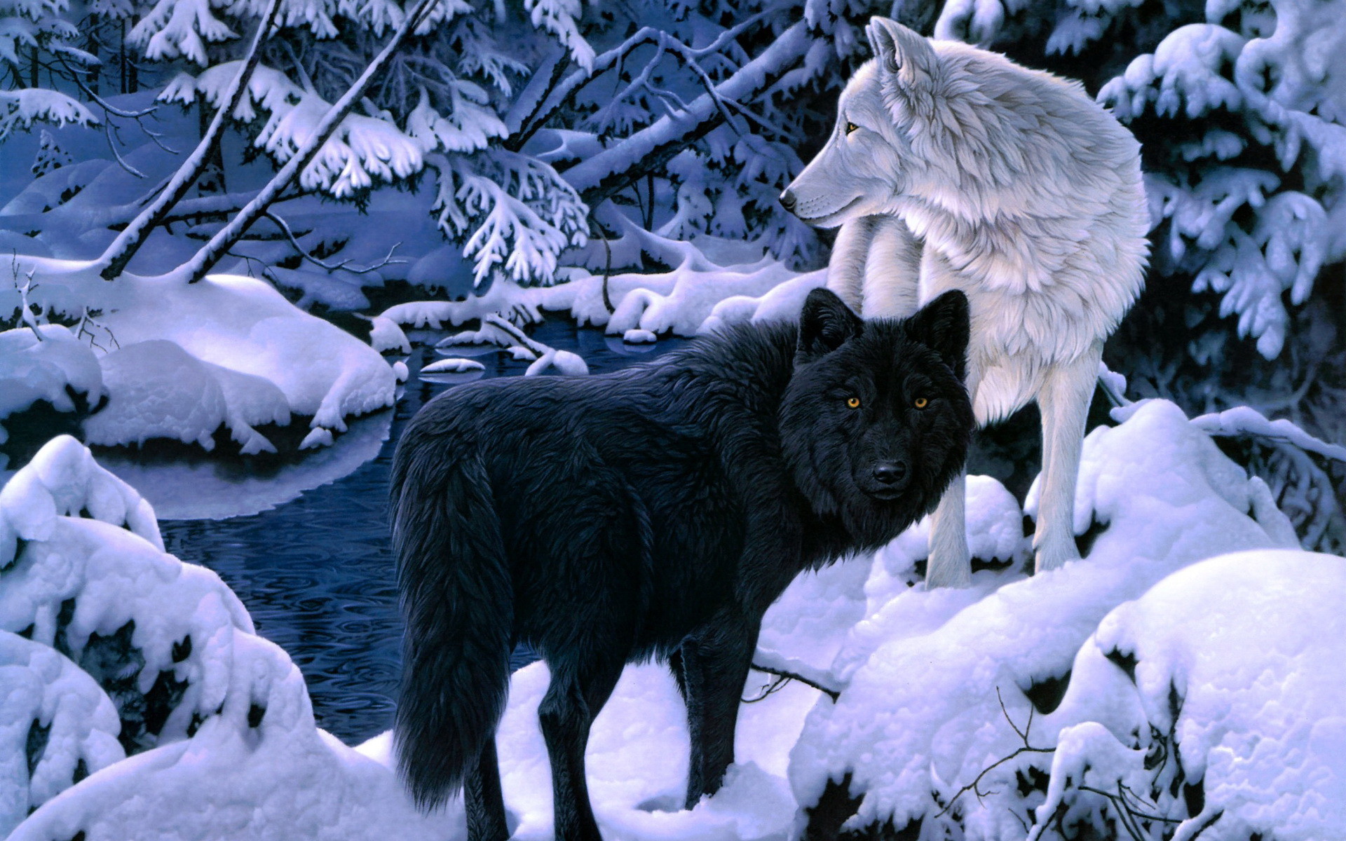 1920x1200 Wolf Wallpapers And Backgrounds Hd #18182 Wallpaper | Wallpaper hd