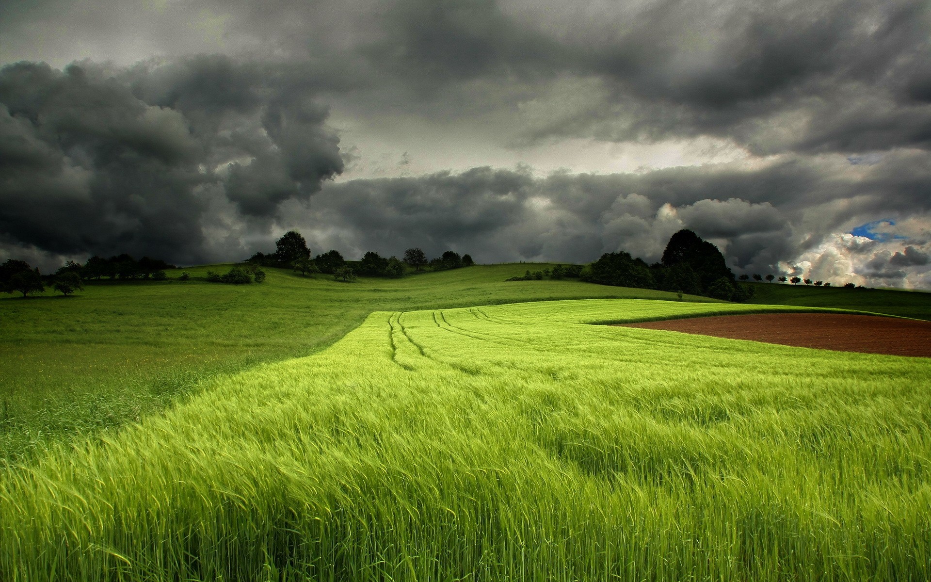 1920x1200 Bild: Grass Green Field & Dark Cloud wallpapers and stock photos. Â«