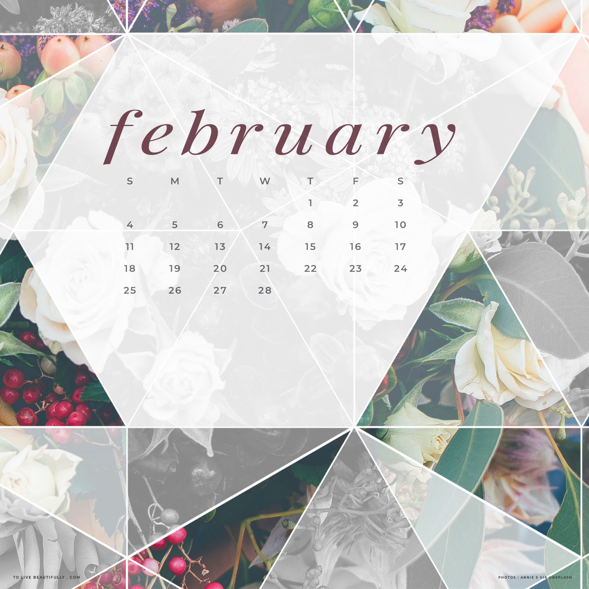 2048x2048 Free February 2018 Calendar Wallpaper