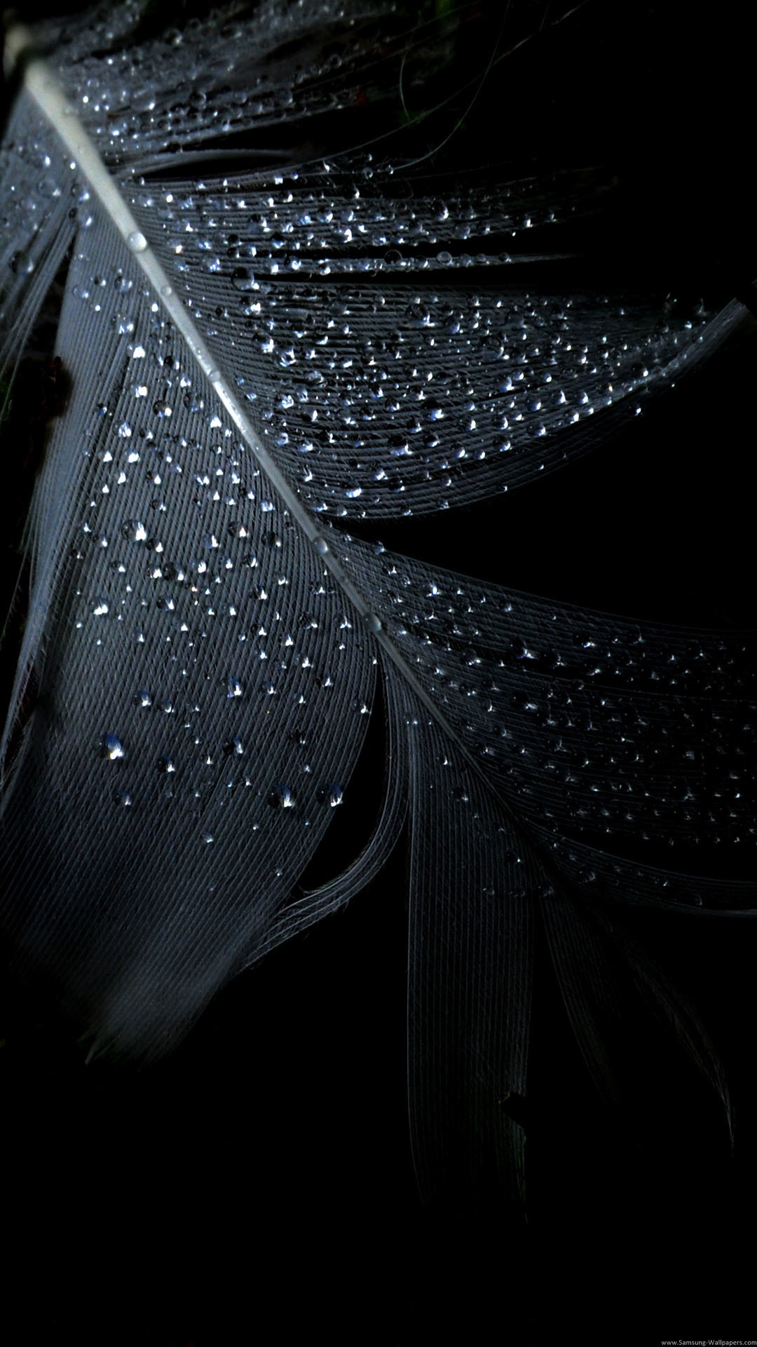 1080x1920 Black Iron Man iPhone 7 Wallpaper Black Feather Rain Drops iPhone 7 Plus HD  Wallpaper
