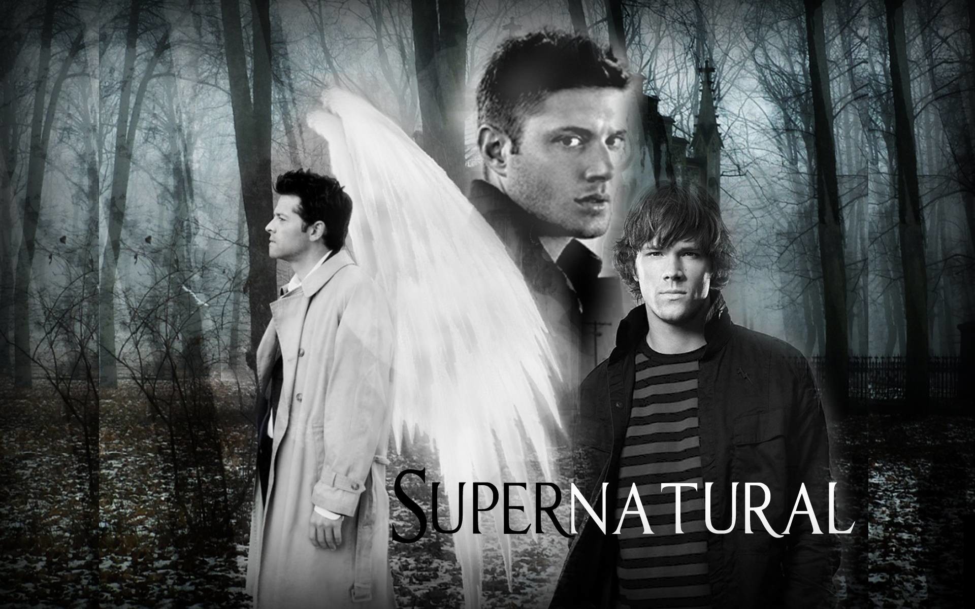 1920x1200 supernatural | supernatural wallpaper 1 - Supernatural/skillet Picture