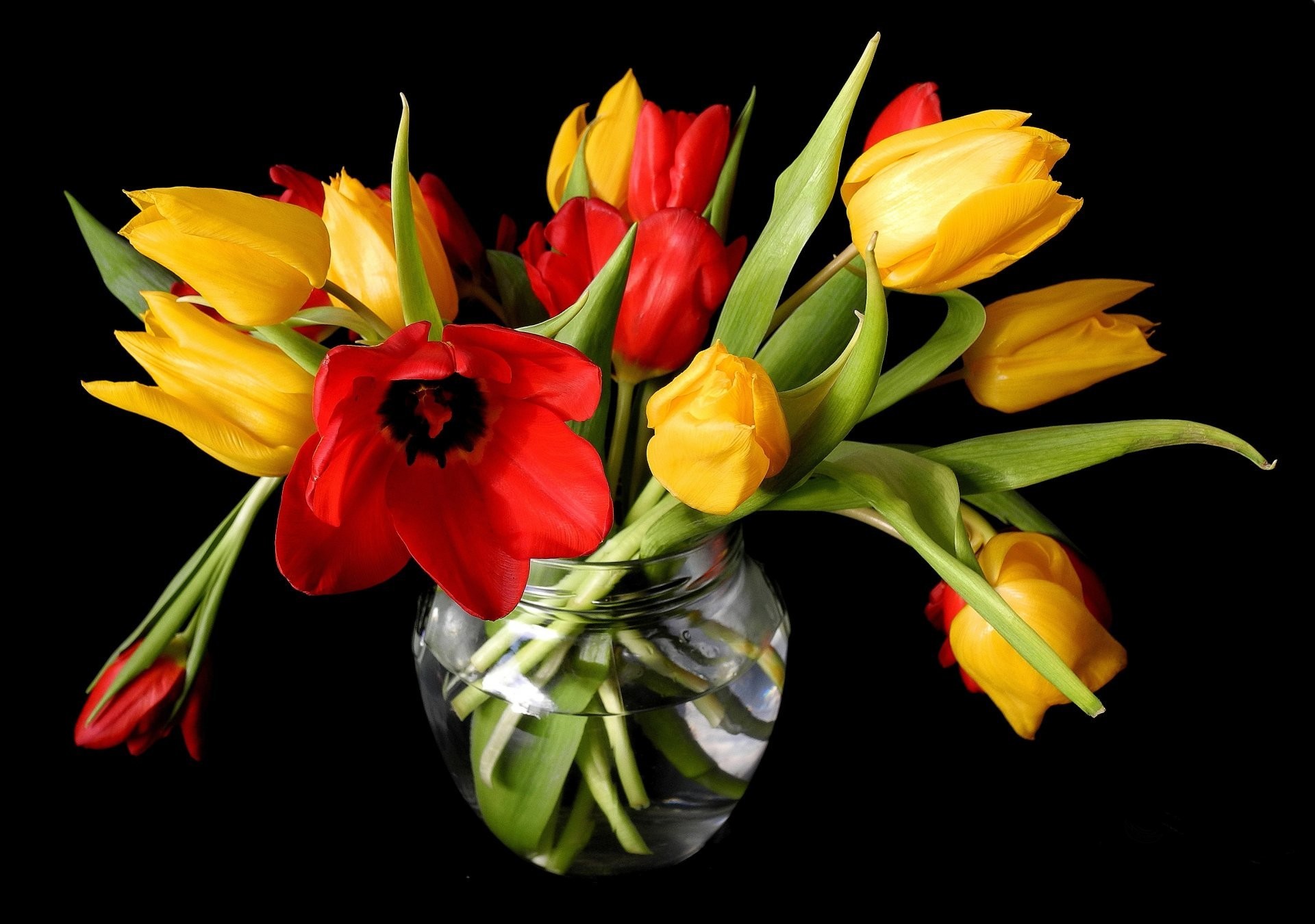 1920x1350 spring tulips yellow red vase flower buds black background