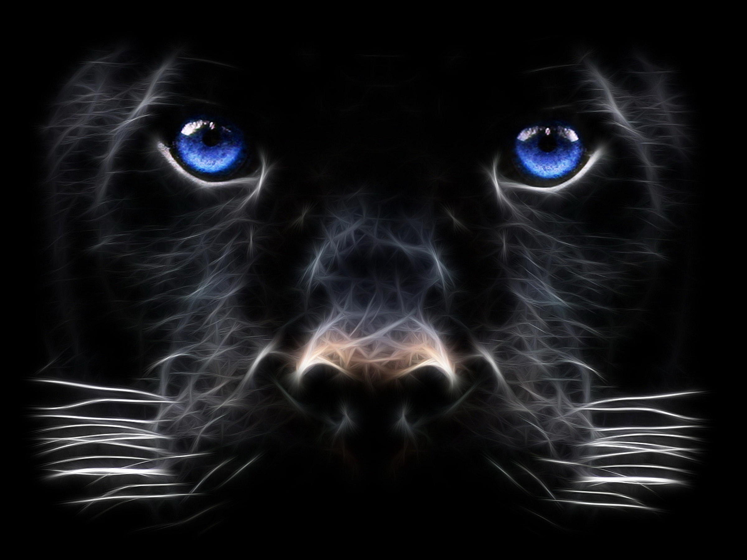2400x1800 HD Wallpaper | Background ID:433886.  Animal Black Panther