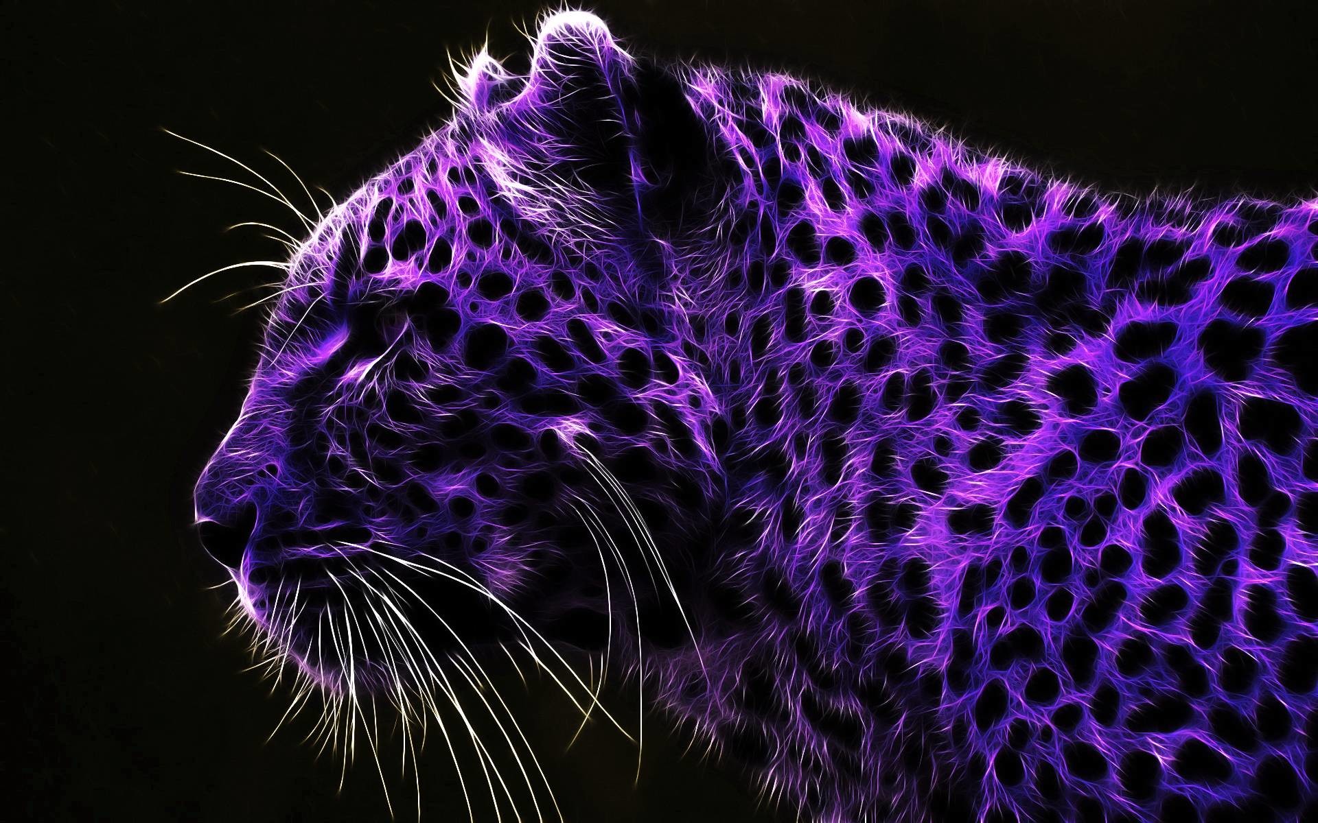 1920x1200 HD Purple Leopard Wallpaper | Download Free - 108146