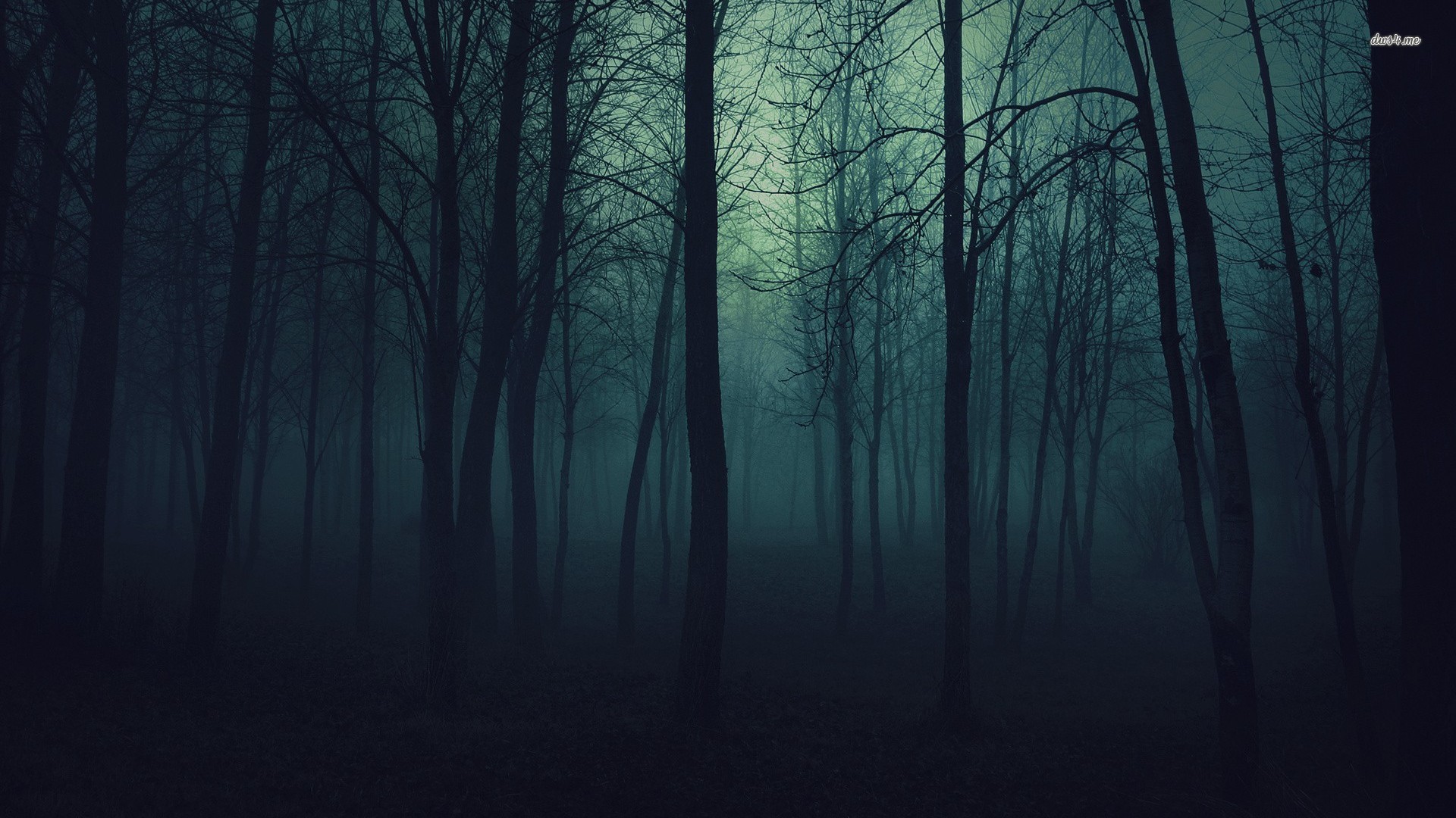 1920x1080 mysterious forest wallpaper