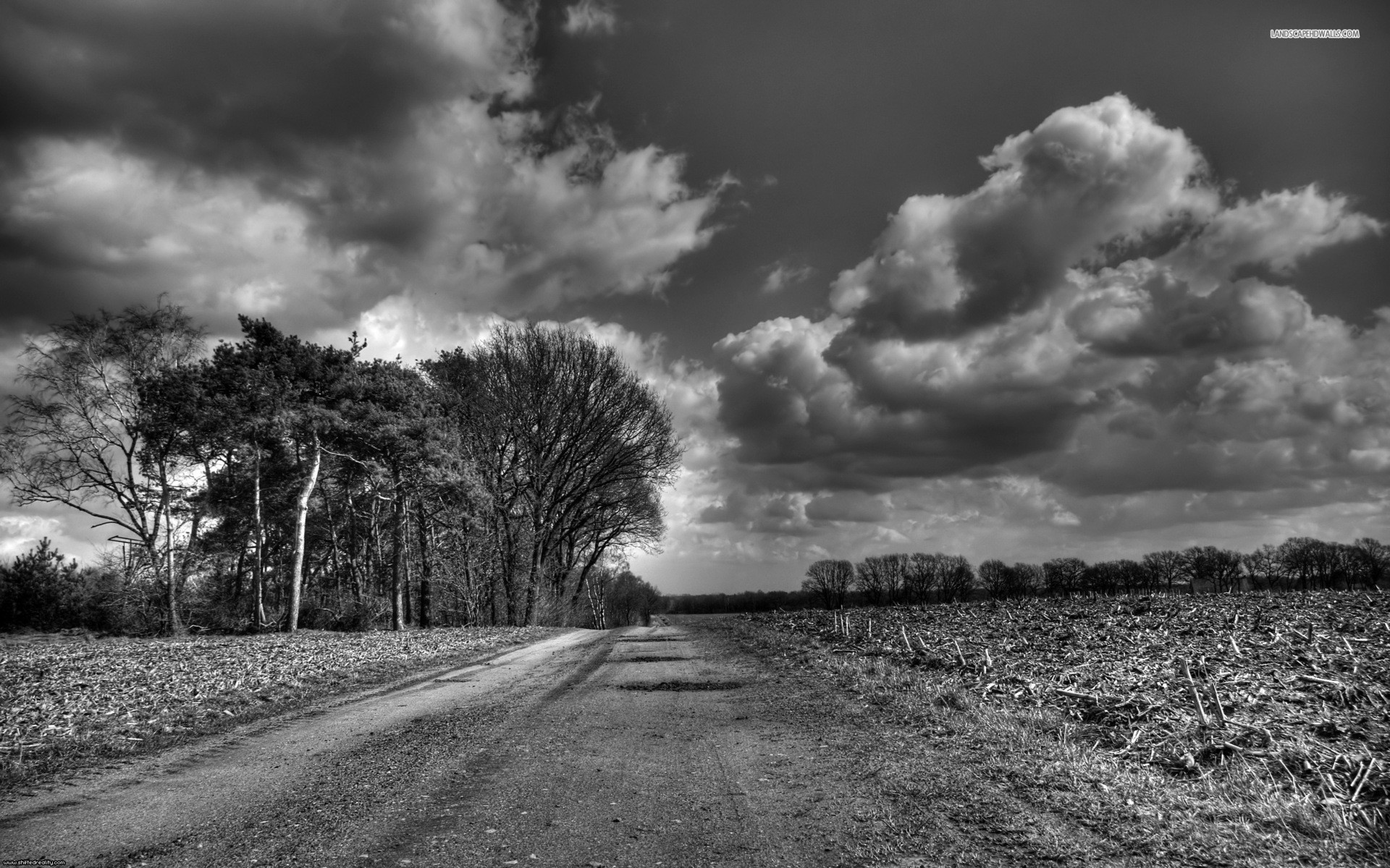 1920x1200 Country Road Black And White
