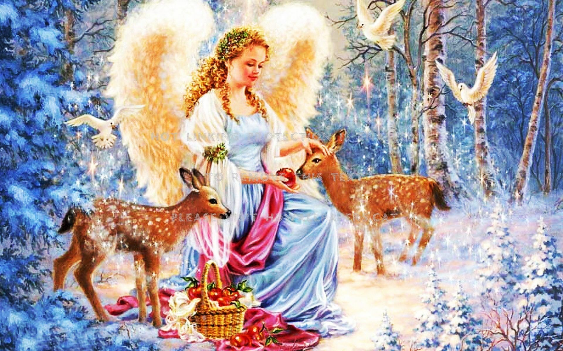 1920x1200 Christmas angel wallpaper. NEXT IMAGE