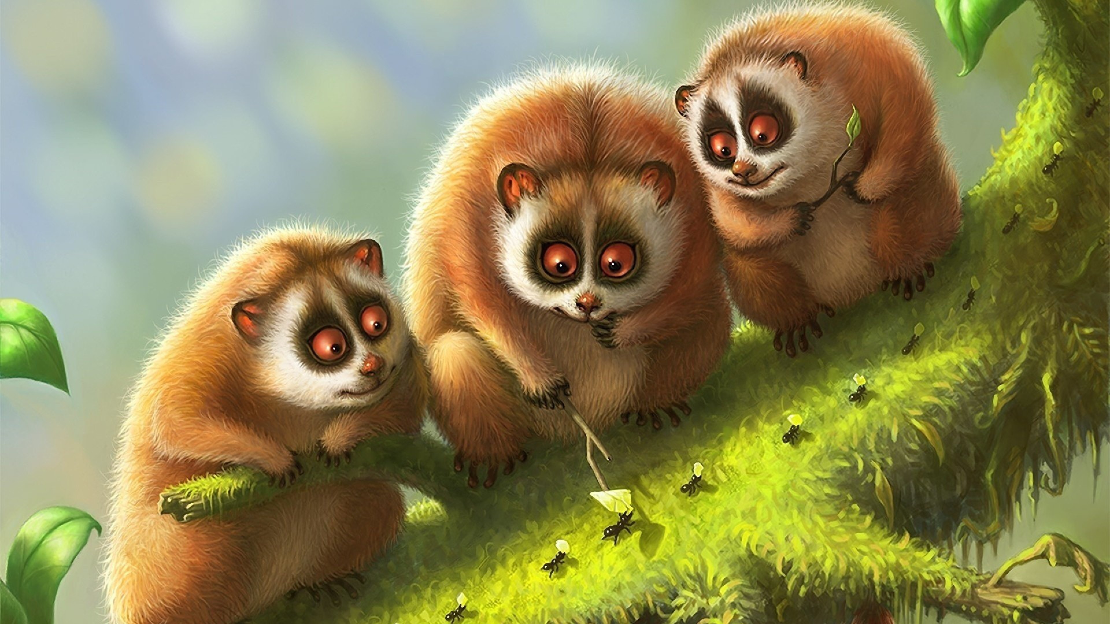 3840x2160 ... Lemur Wallpaper - Android Apps on Google Play ...