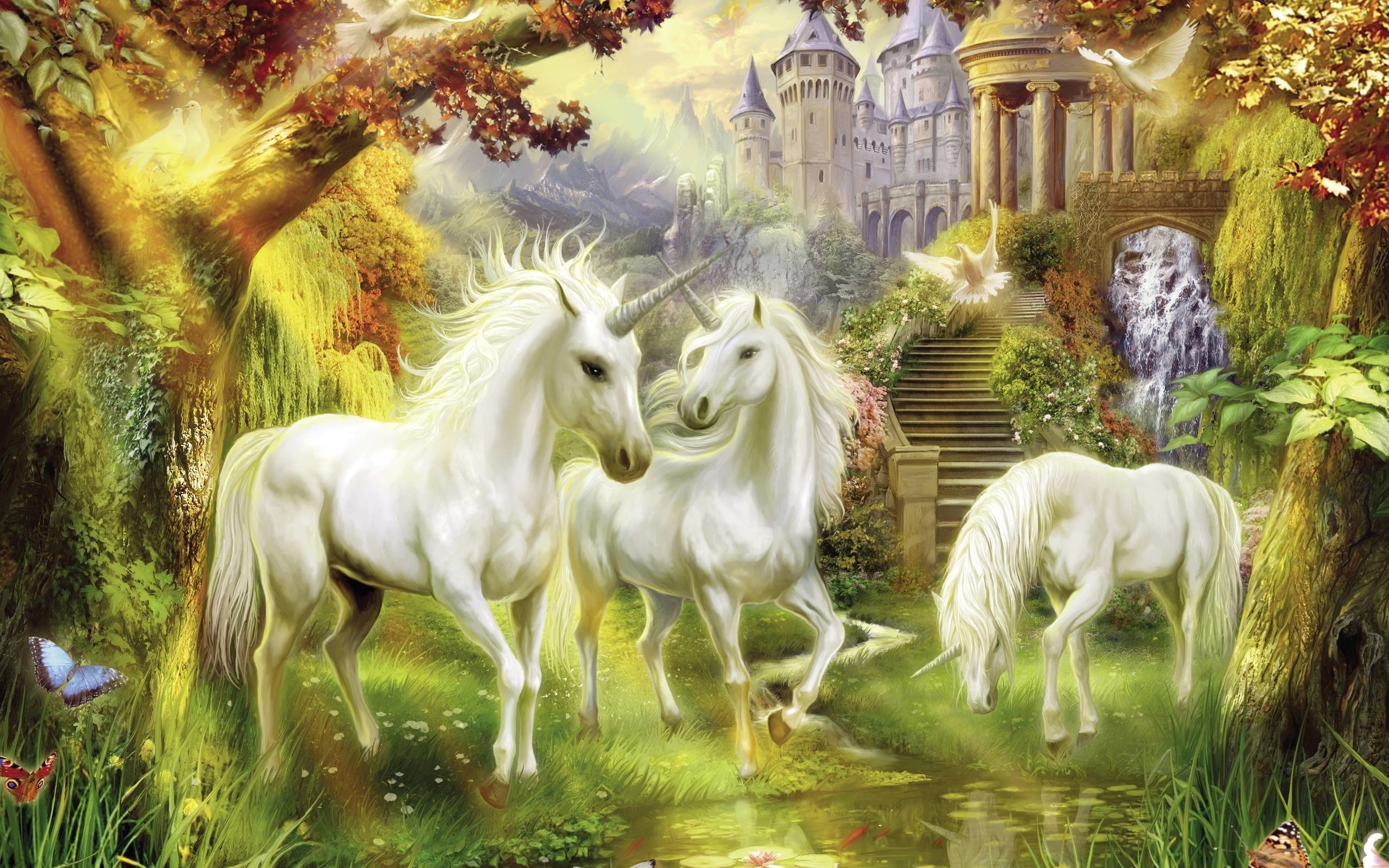 2560x1600 Unicorn Images