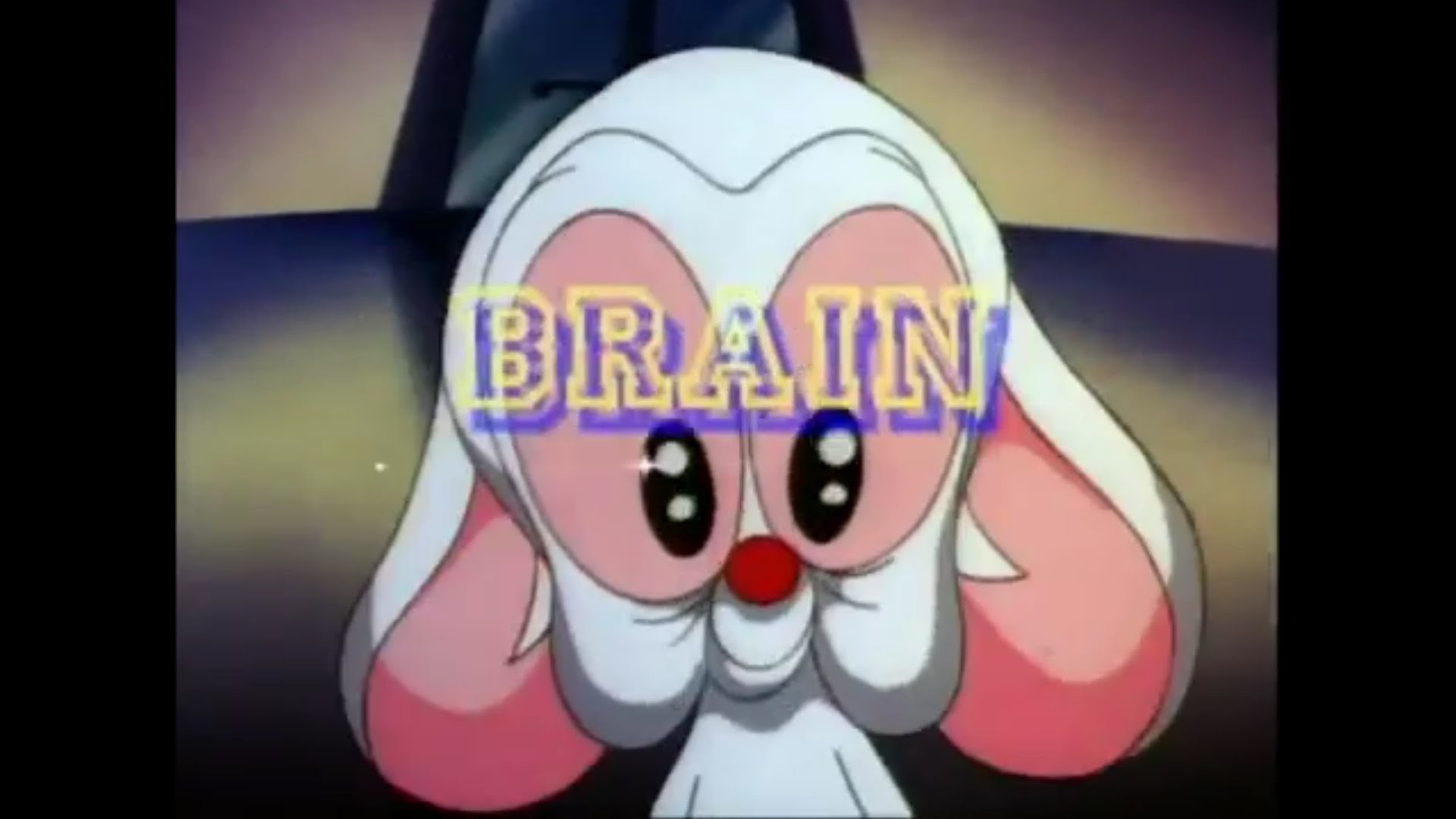1920x1080 Pinky and the Brain (TV Series 1995–1998) Opening intro Theme ãHDã CC  Subtitles (Lyrics)