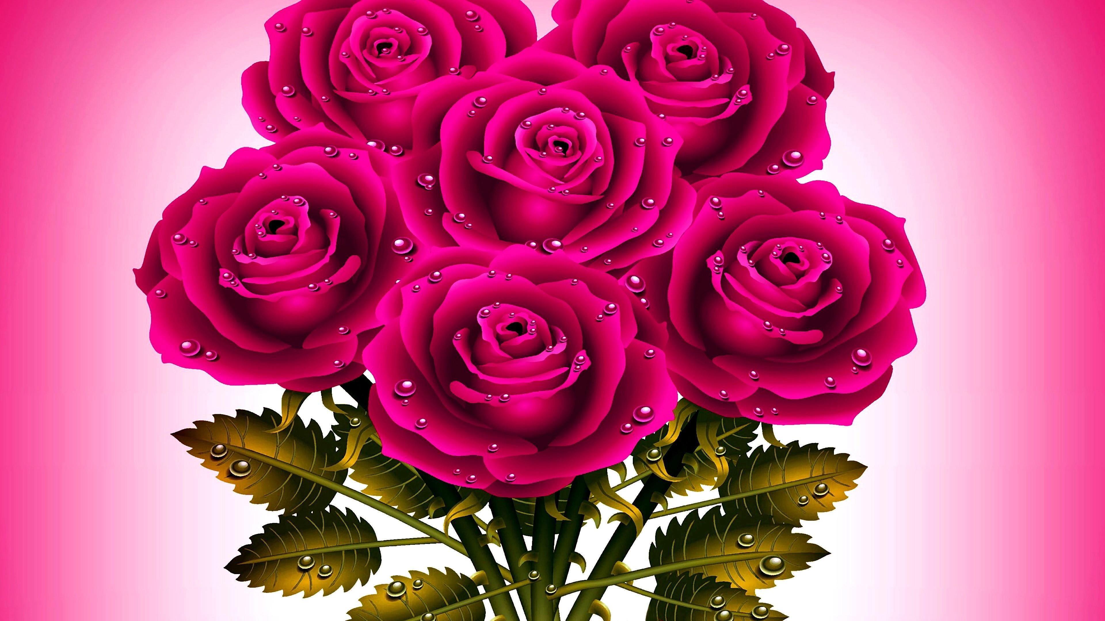3840x2160 Res: 1920x1200, Single Pink Rose Wallpaper