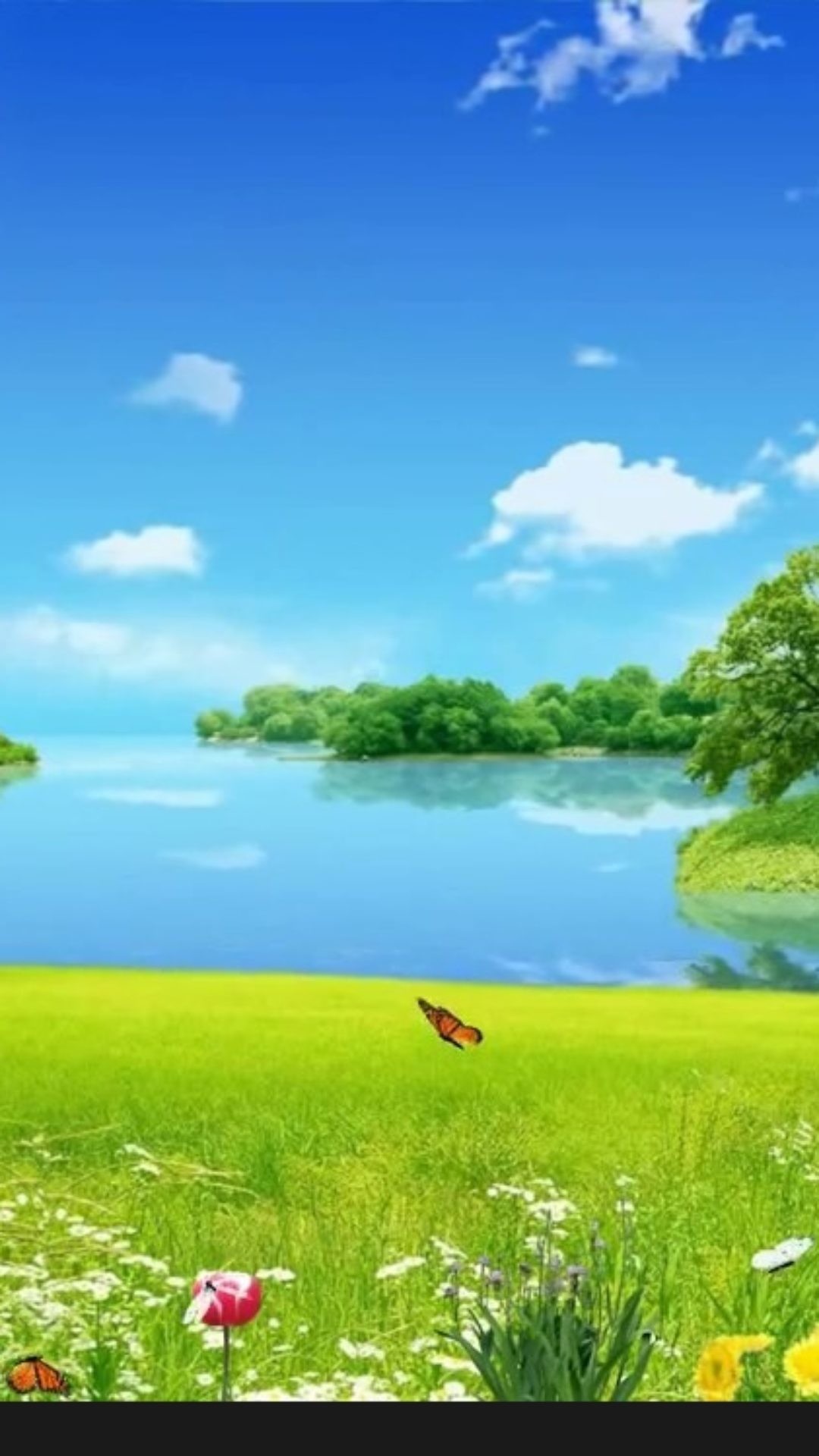 1080x1920 Animated Scenery Background