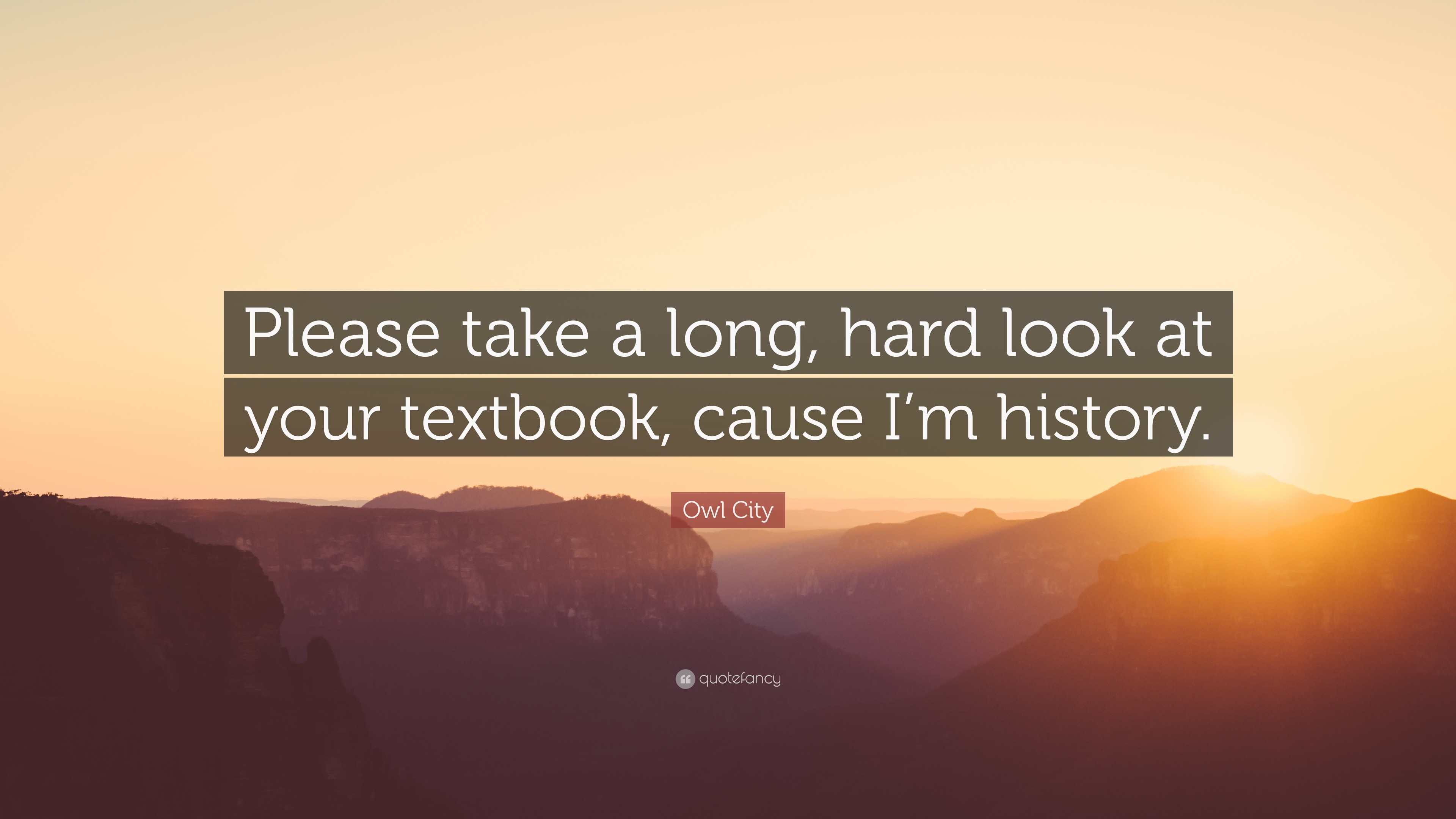 3840x2160 Owl City Quote: “Please take a long, hard look at your textbook,