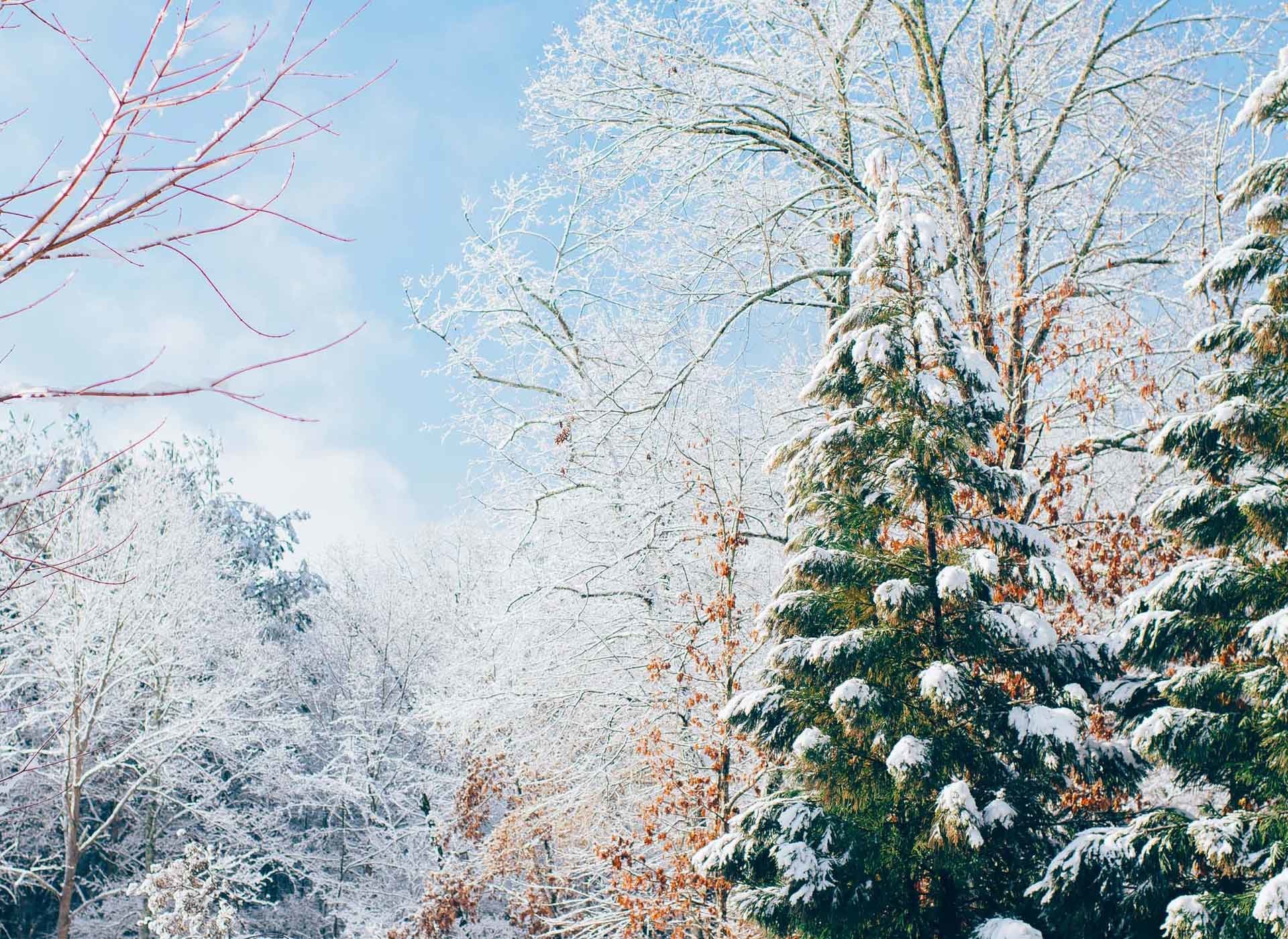 1920x1400 Full Screen Wallpaper of a colourful snow scene
