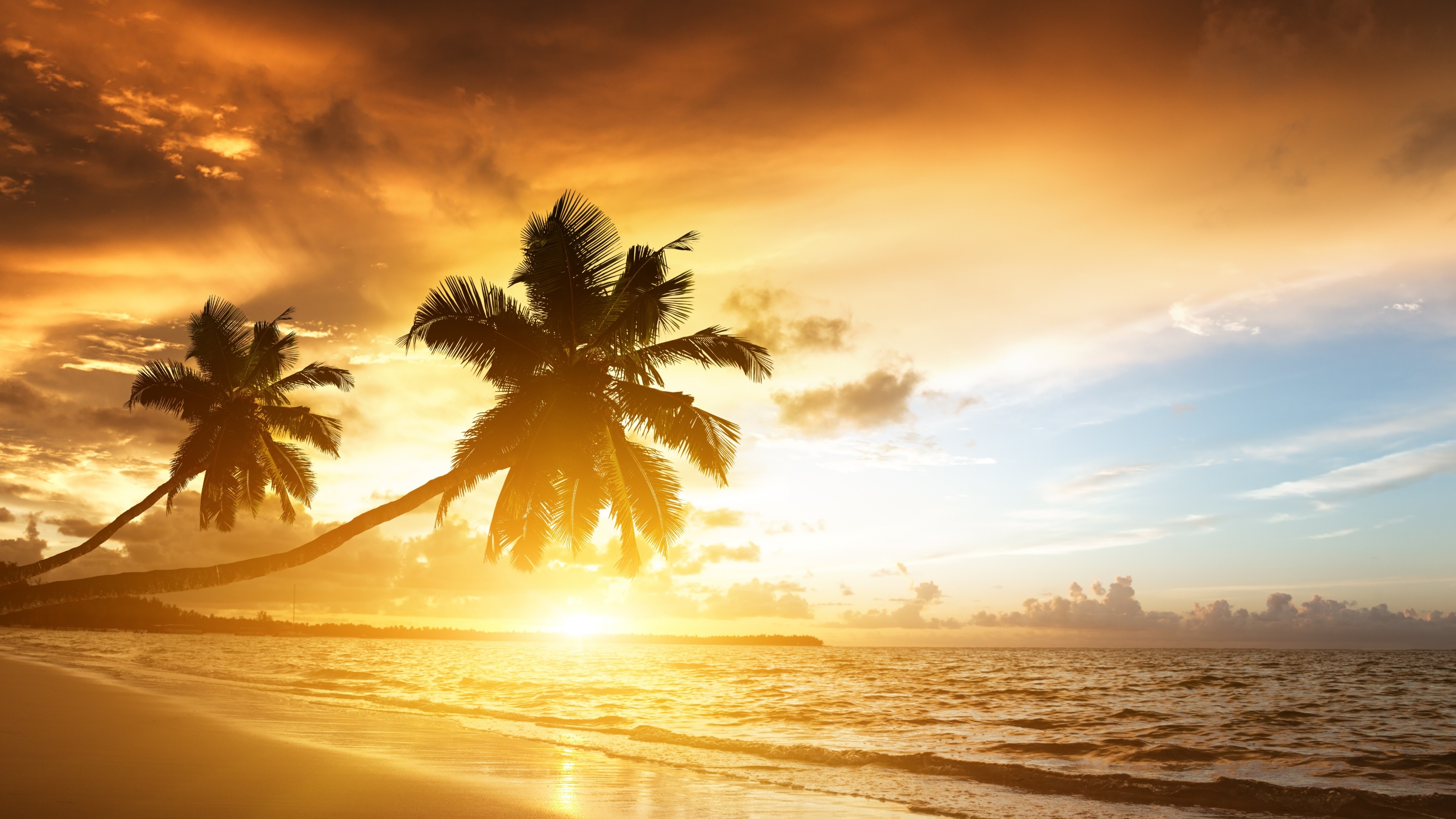 3840x2160  Wallpaper beach, tropics, sea, sand, palm trees, sunset, evening