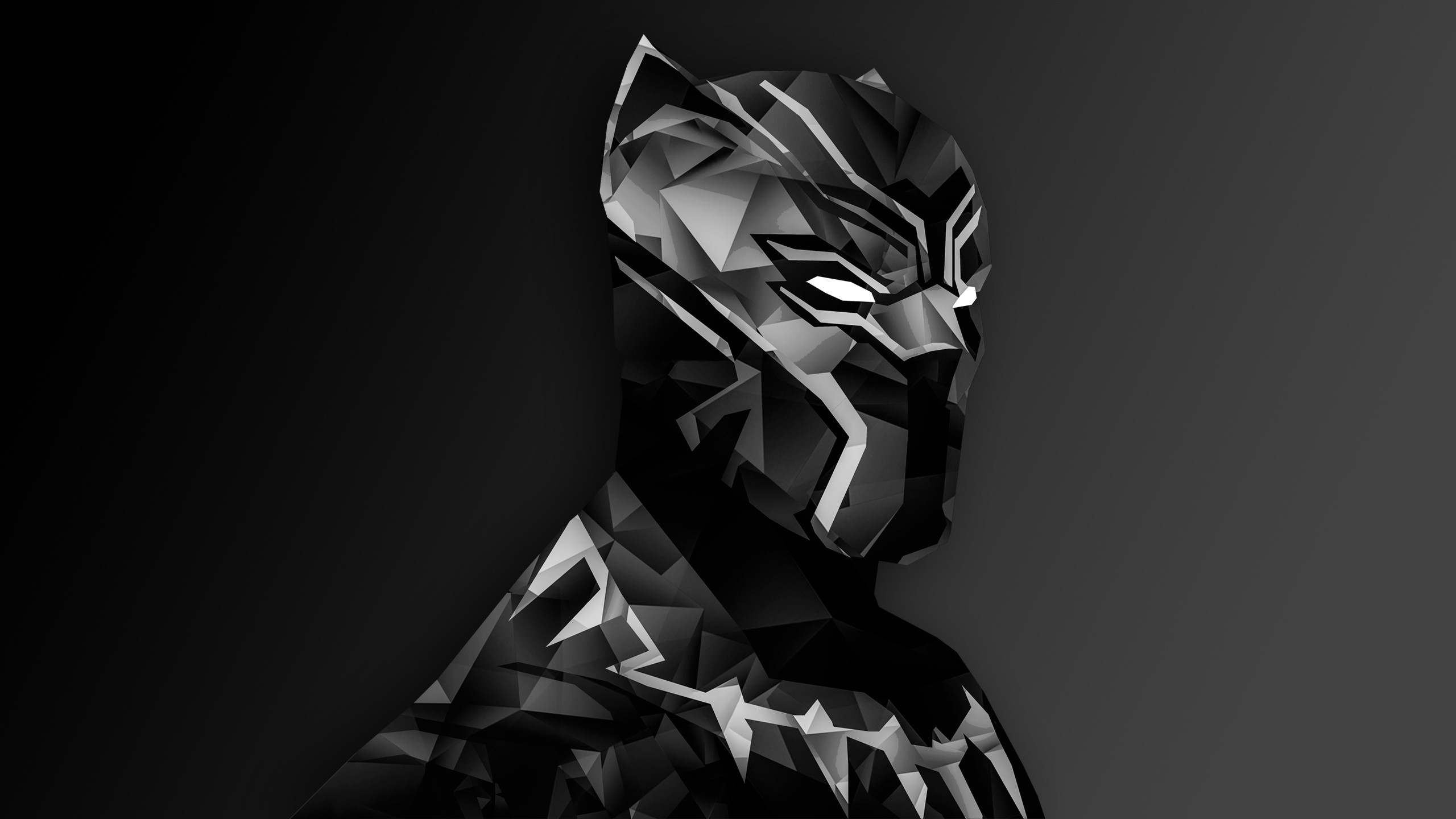 2560x1440 Black Panther HD Wallpaper | Background Image |  | ID:847104 -  Wallpaper Abyss